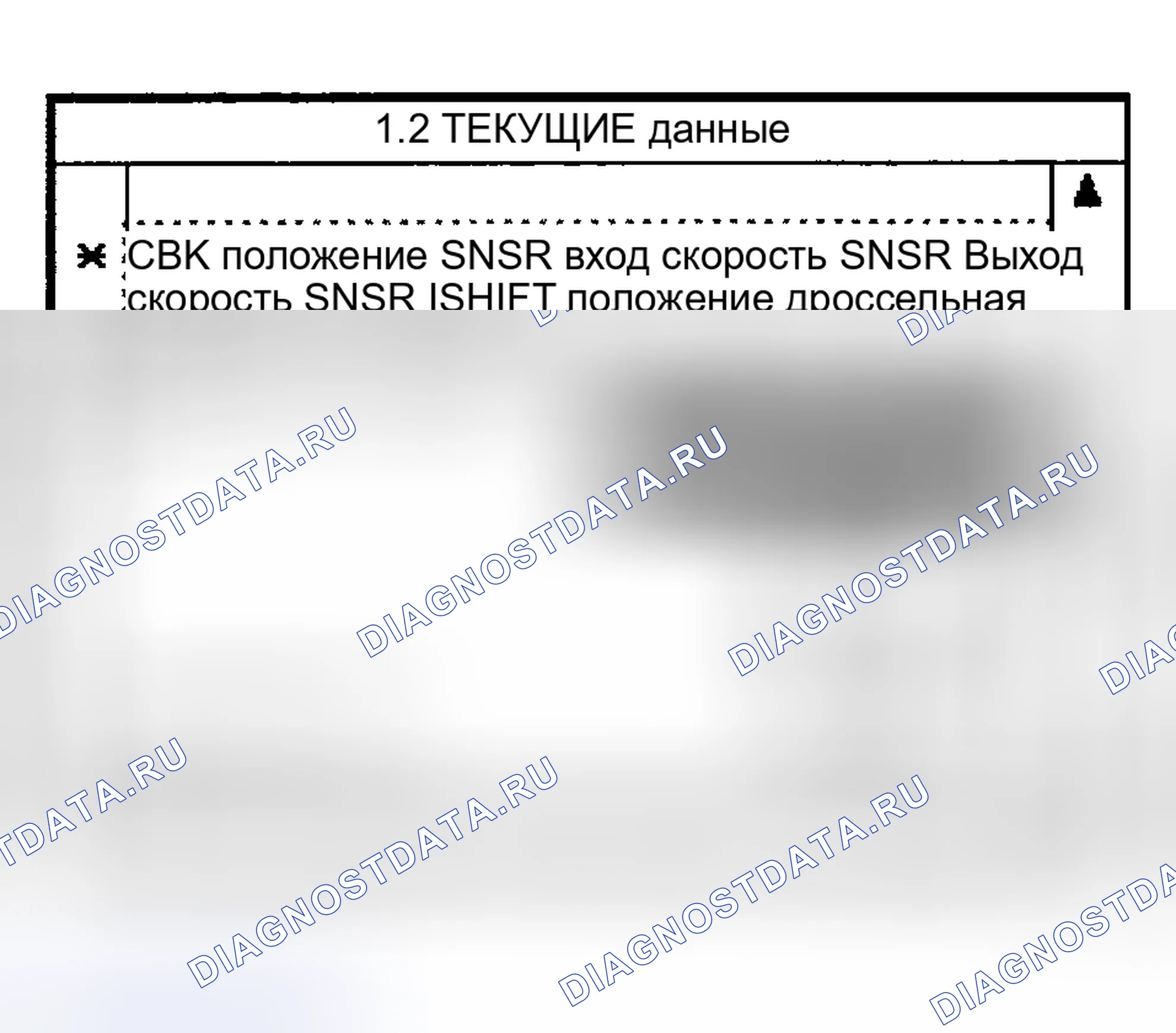 Рис. 351: МОНИТОРИНГ ДАННЫХ СКАНЕРА. Haval Chitu I