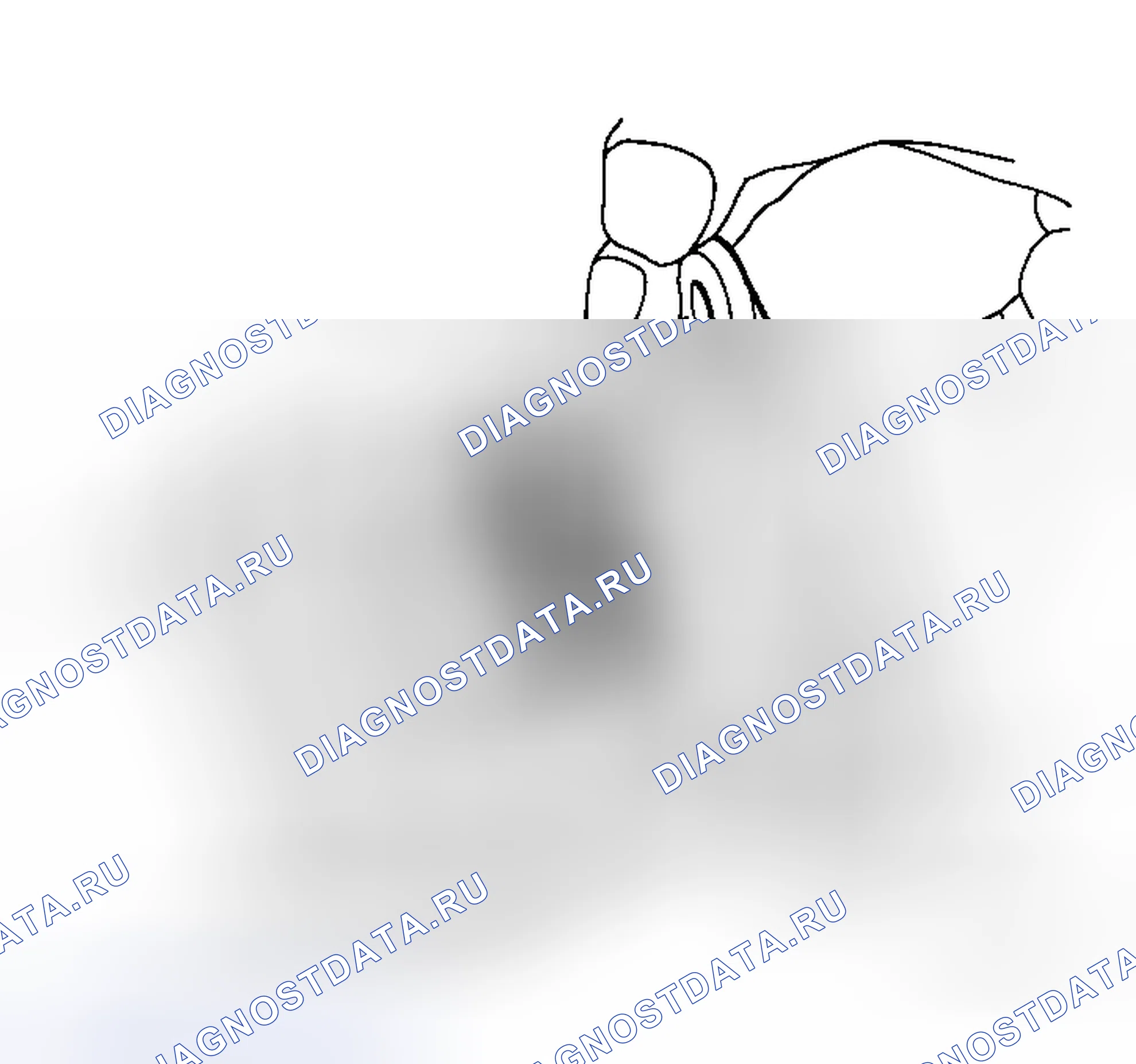 Рис. 8. Honda Integra I