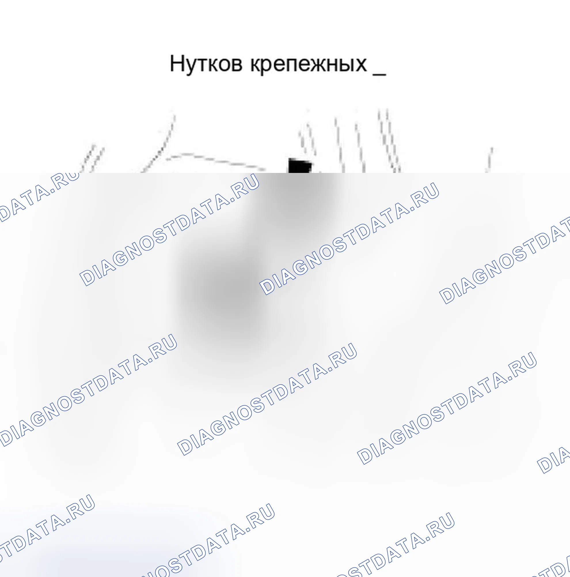 Рис. 126. Jaguar XKR I