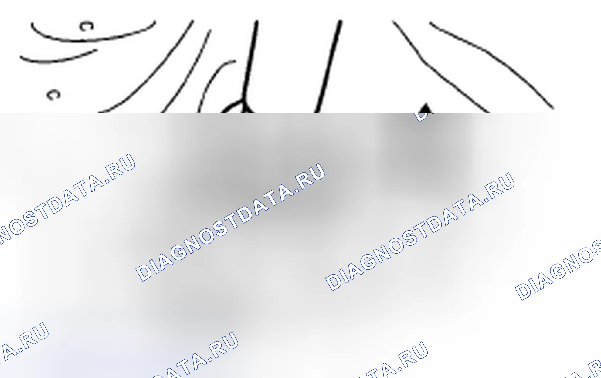 Рис. 58: СВОБОДНЫЙ ХОД ЦЕНТРАЛЬНОГО ПОДШИПНИКА. Subaru Legacy BM/BR