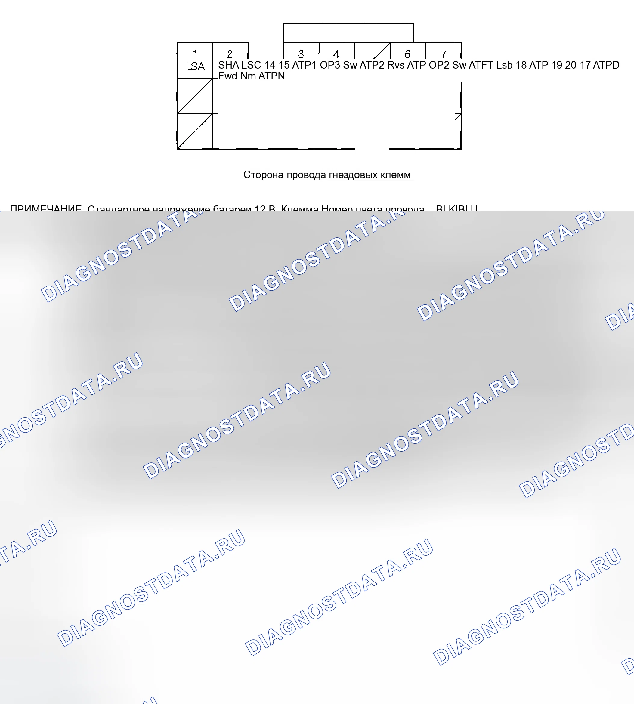 Рис. 20: Входы и выходы ИКМ на разъеме C (22P). Honda Element YH2
