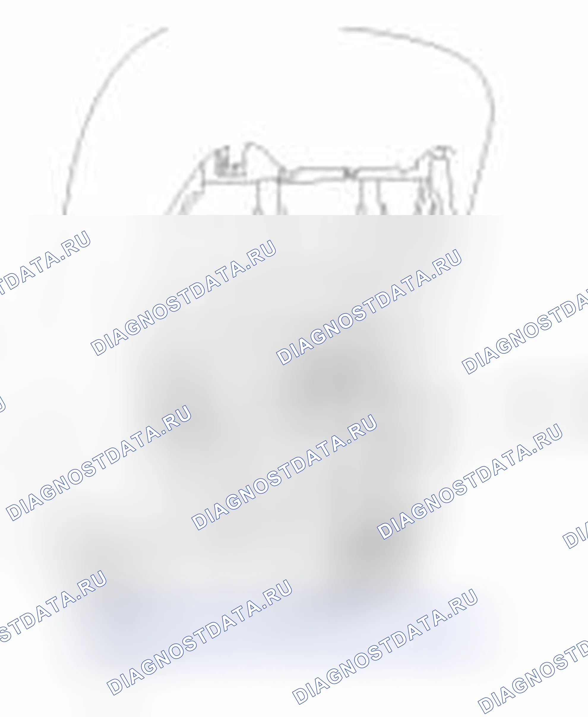 Рис. 61: Демонтаж. Haval Beast (Shenshou) I