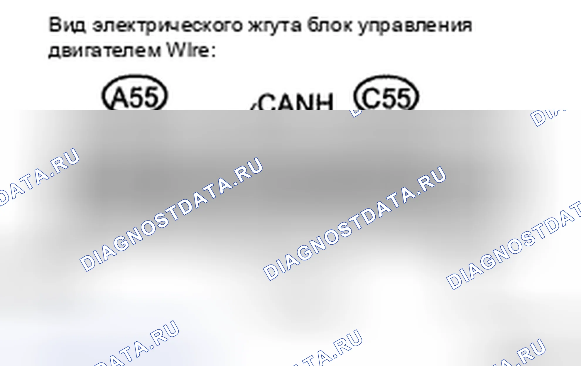 Рис. 207. Toyota Camry XV40