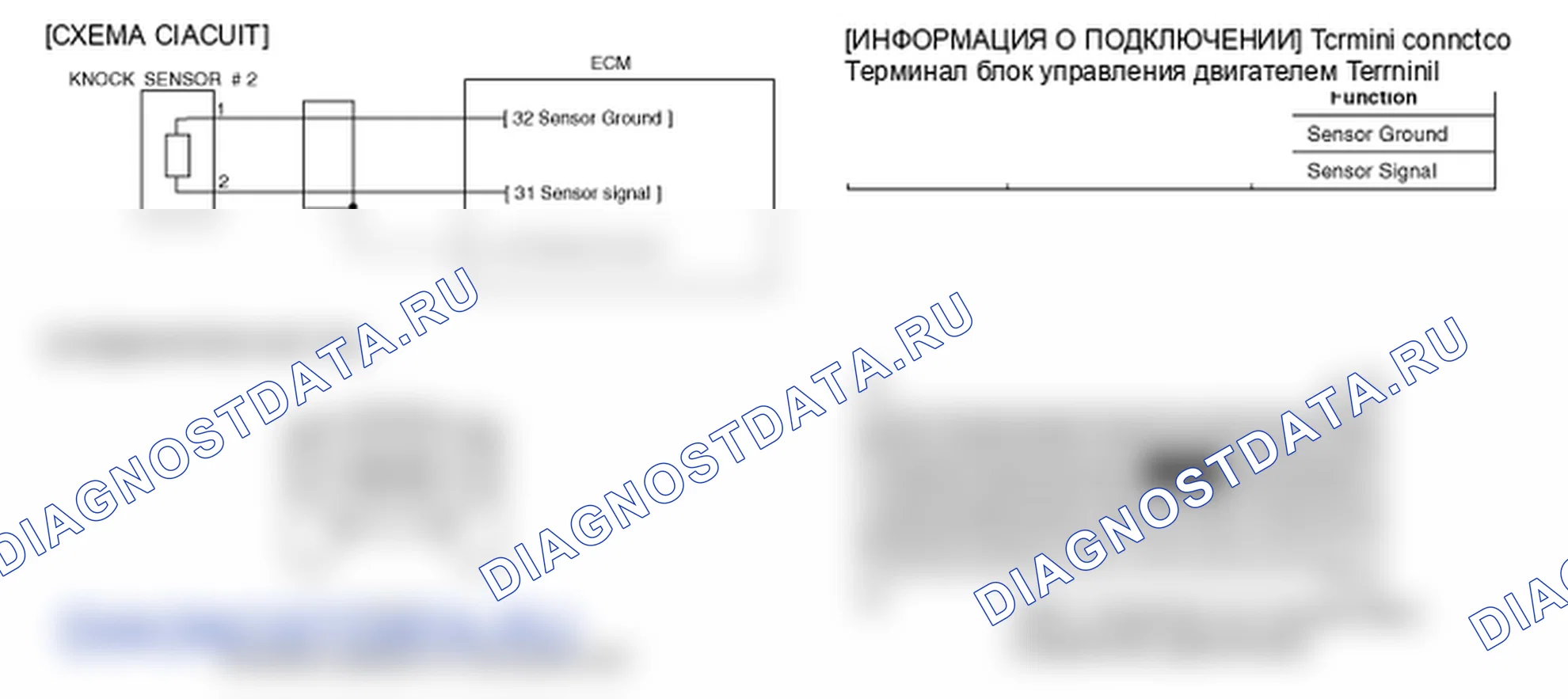 Фрагмент электросхемы: P0330. Kia Sportage KM