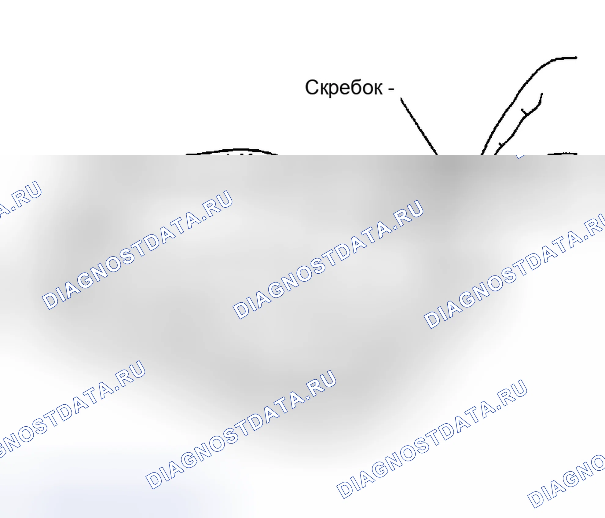 Рис. 85. Infiniti I35 II