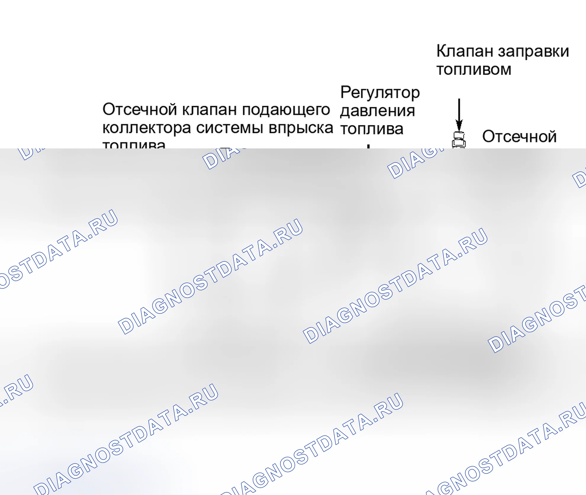 Рис. 49. Ford Escape I
