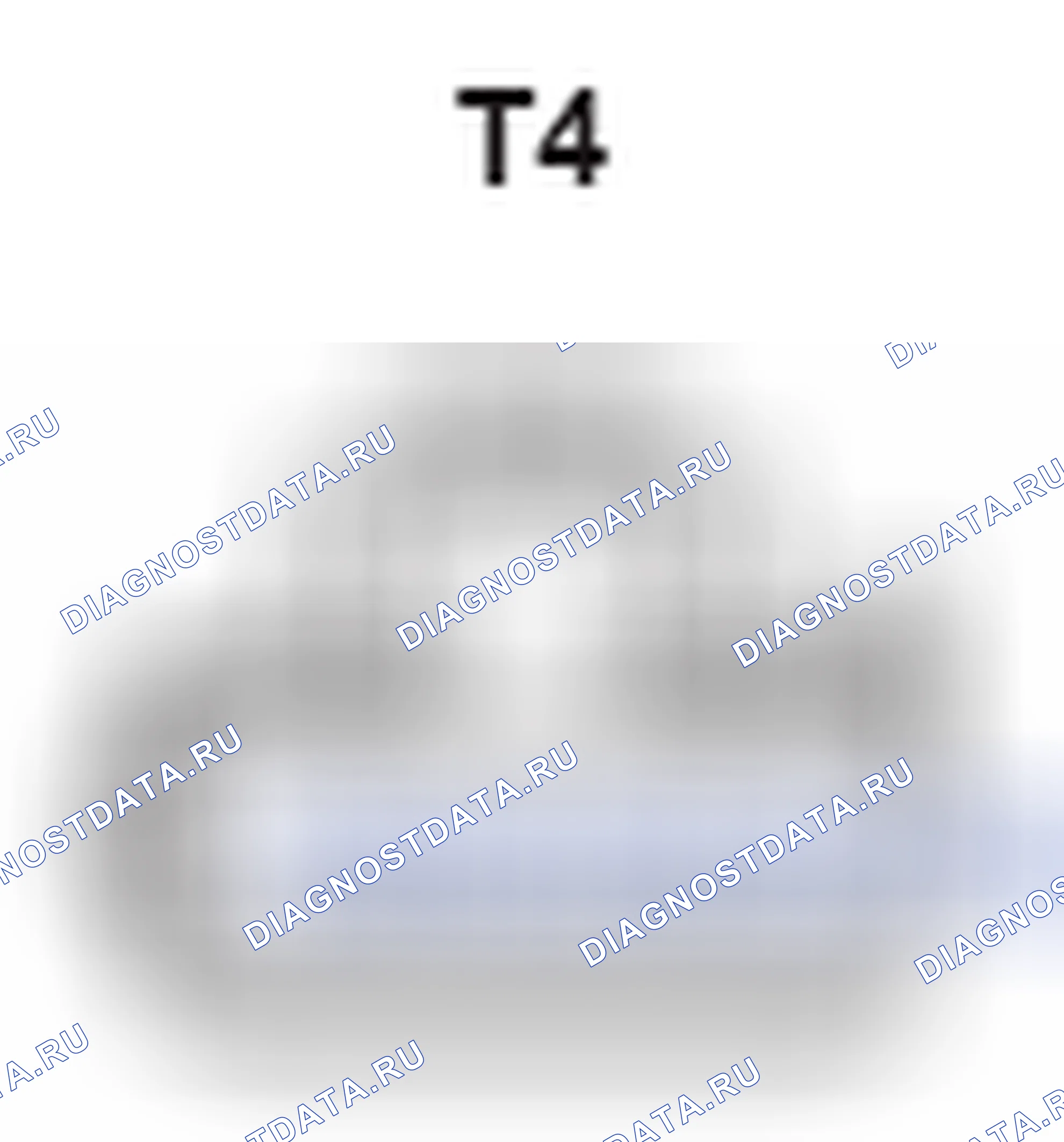 Рис. 484: Вид с торца разъема Tweeter (задняя левая часть) (T4). Lexus GS III