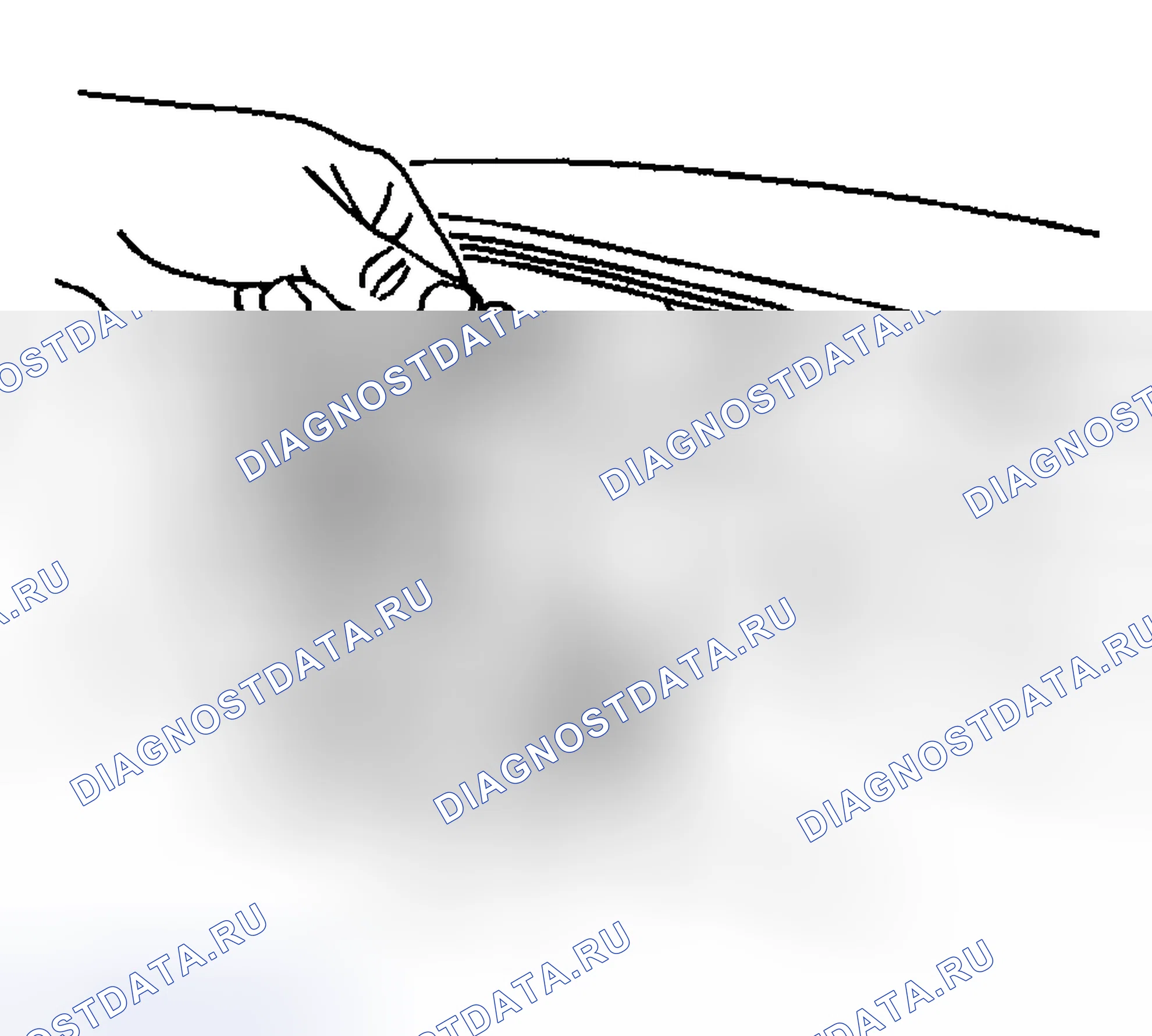 Рис. 106. Hyundai Venue I
