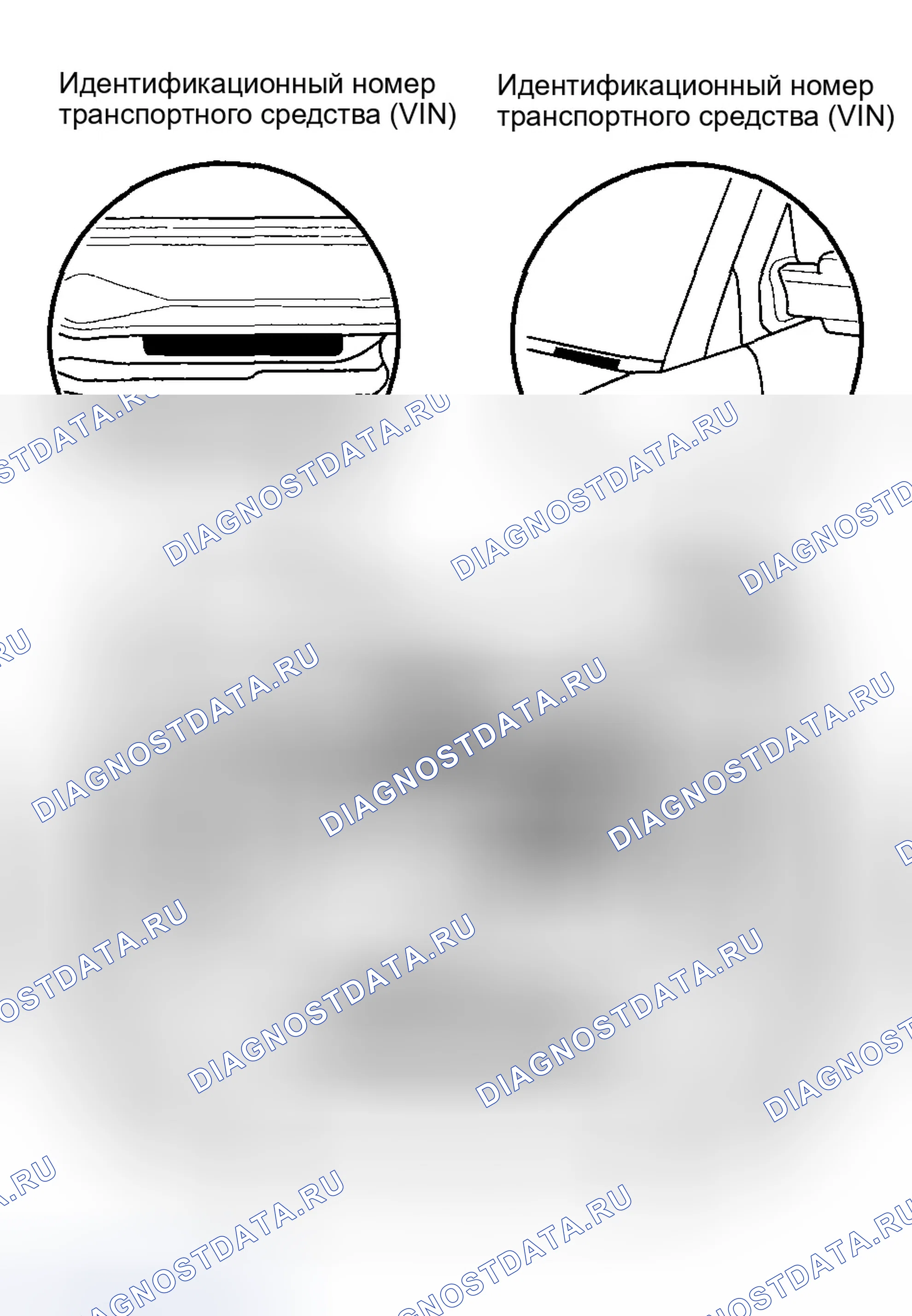 Рис. 22: Расположение идентификационных номеров. Honda Element I