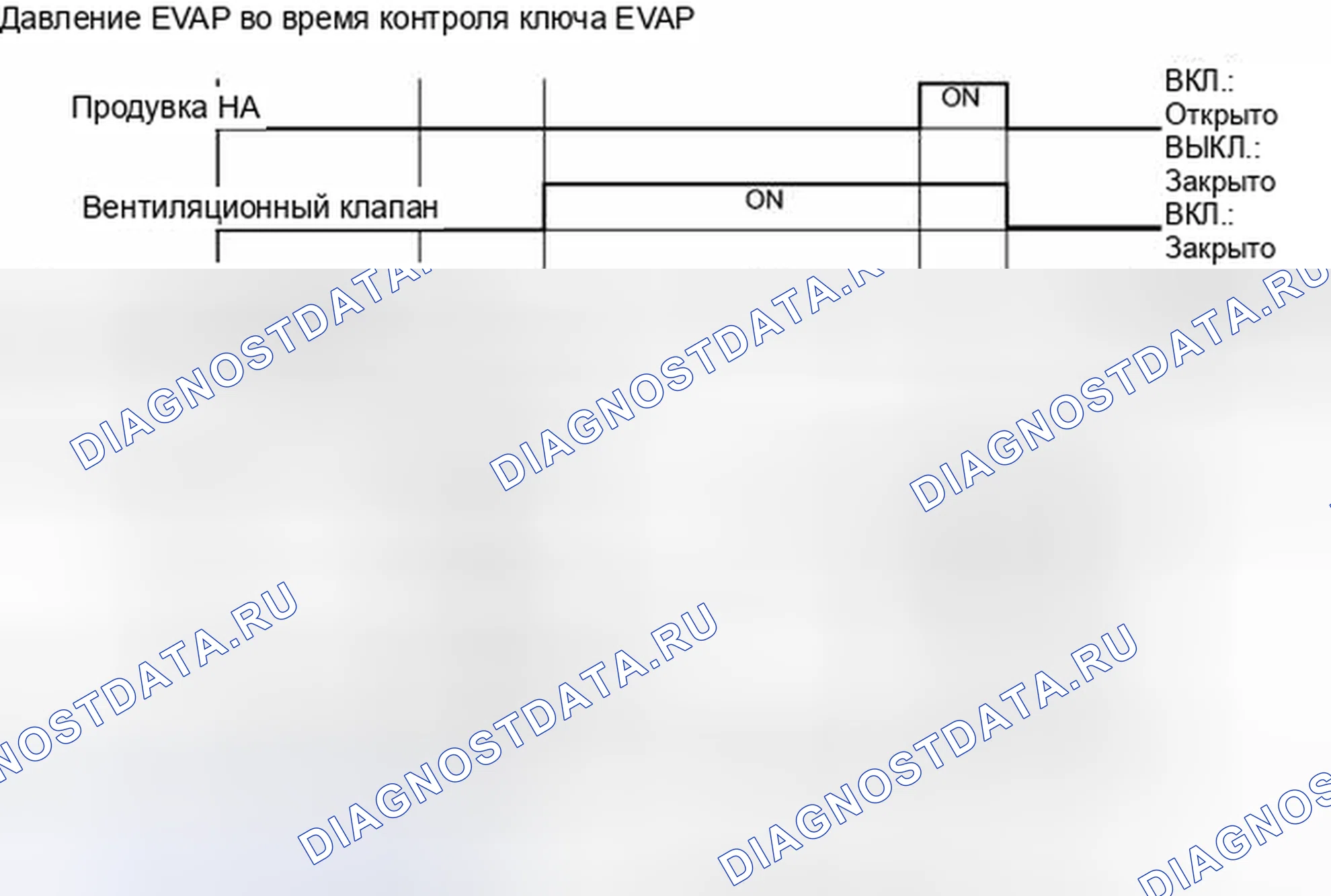 Рис. 282. Lexus IS F I