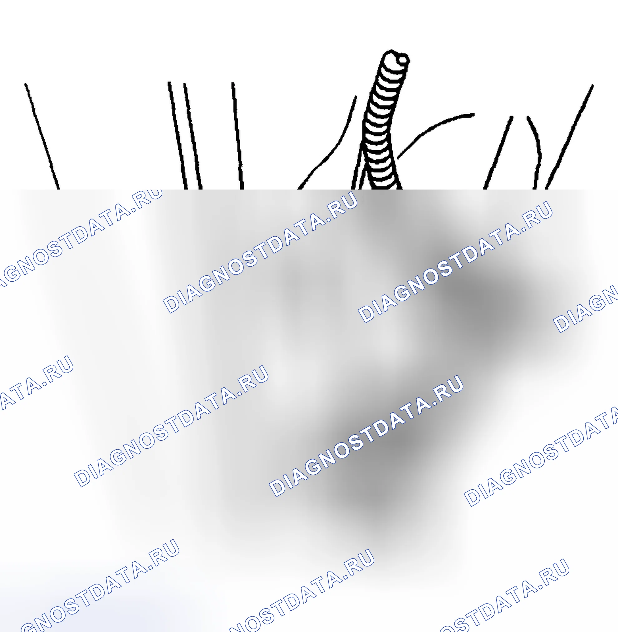 Рис. 22. Kia Ceed CD