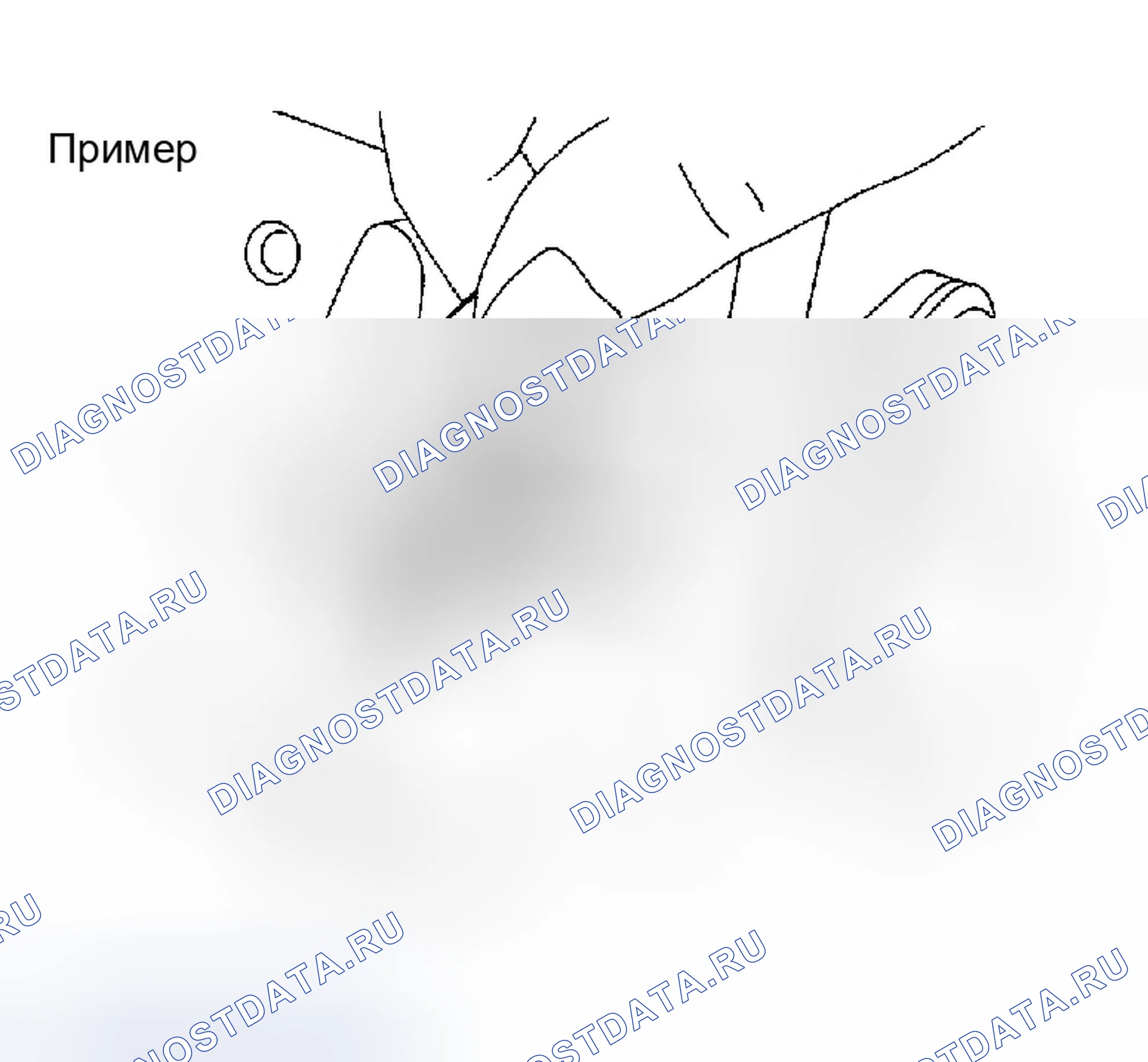 Рис. 1463. Infiniti G35 III
