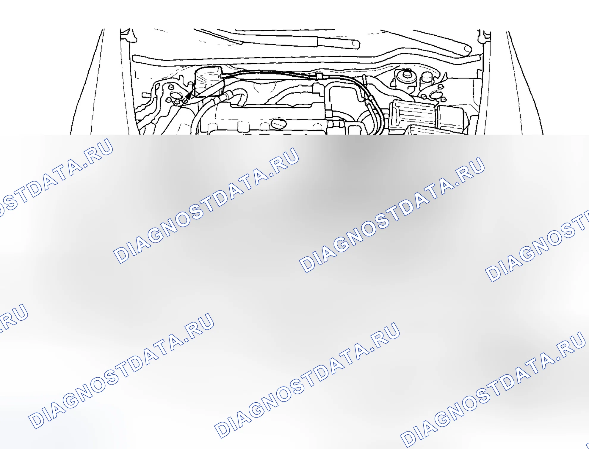 Рис. 2. Honda Accord VII