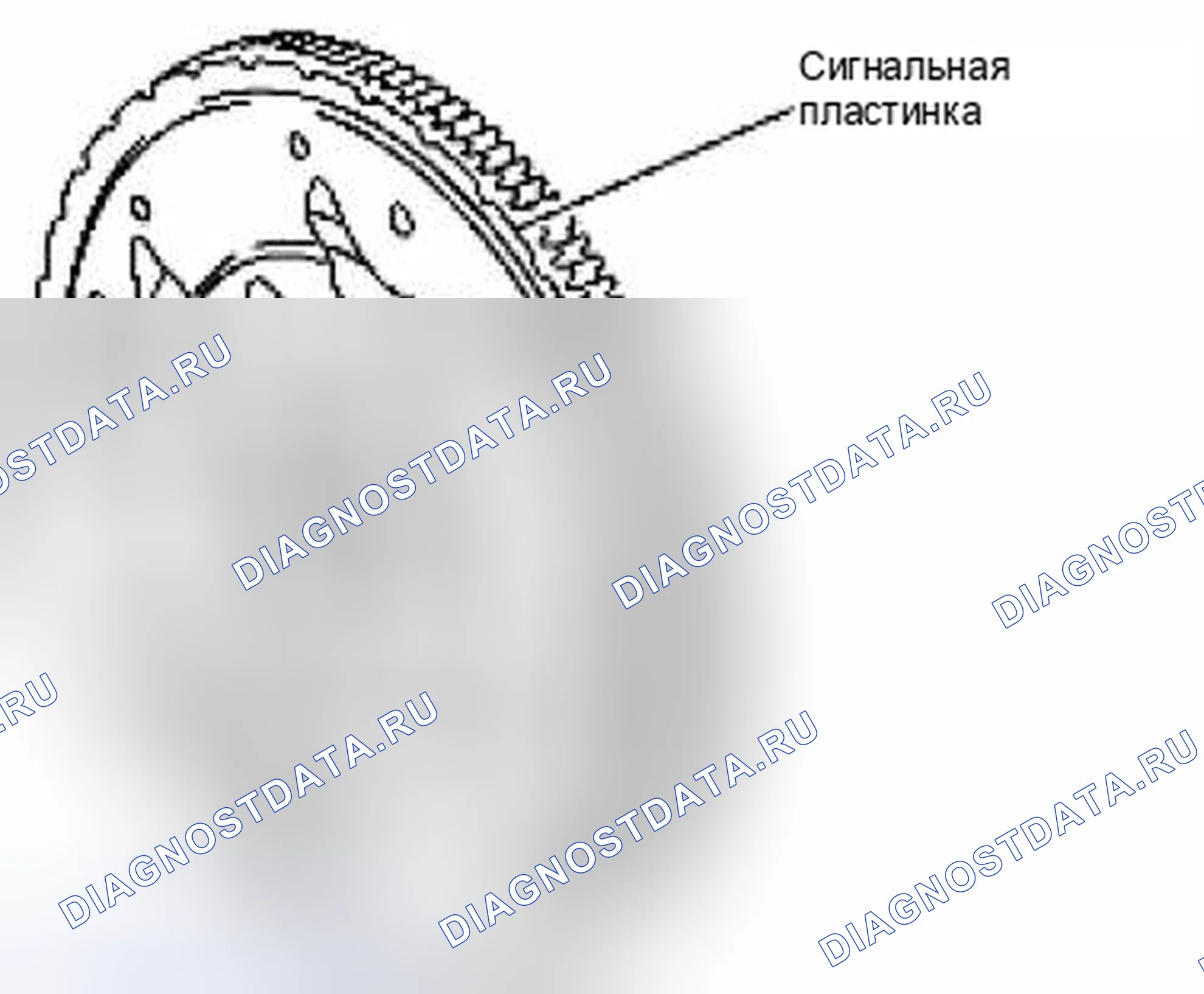 Рис. 347. Suzuki Equator I