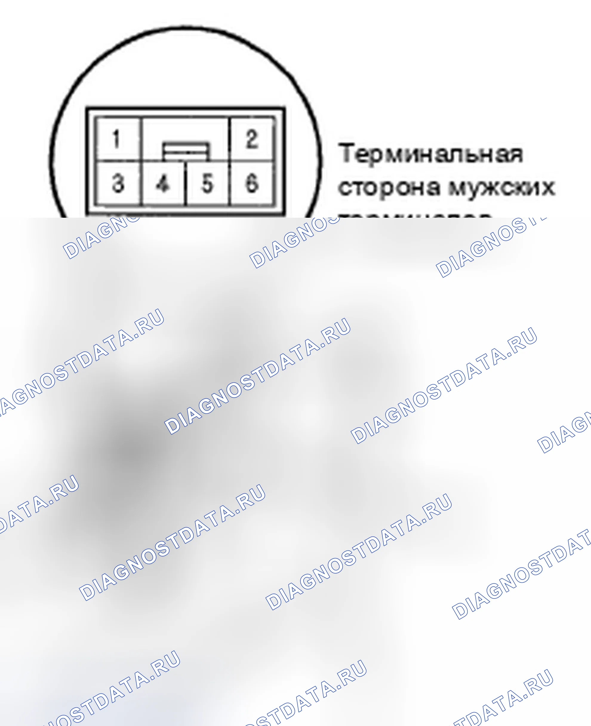 Рис. 5: Испытание двигателя. Honda Element YH2 рестайлинг 2