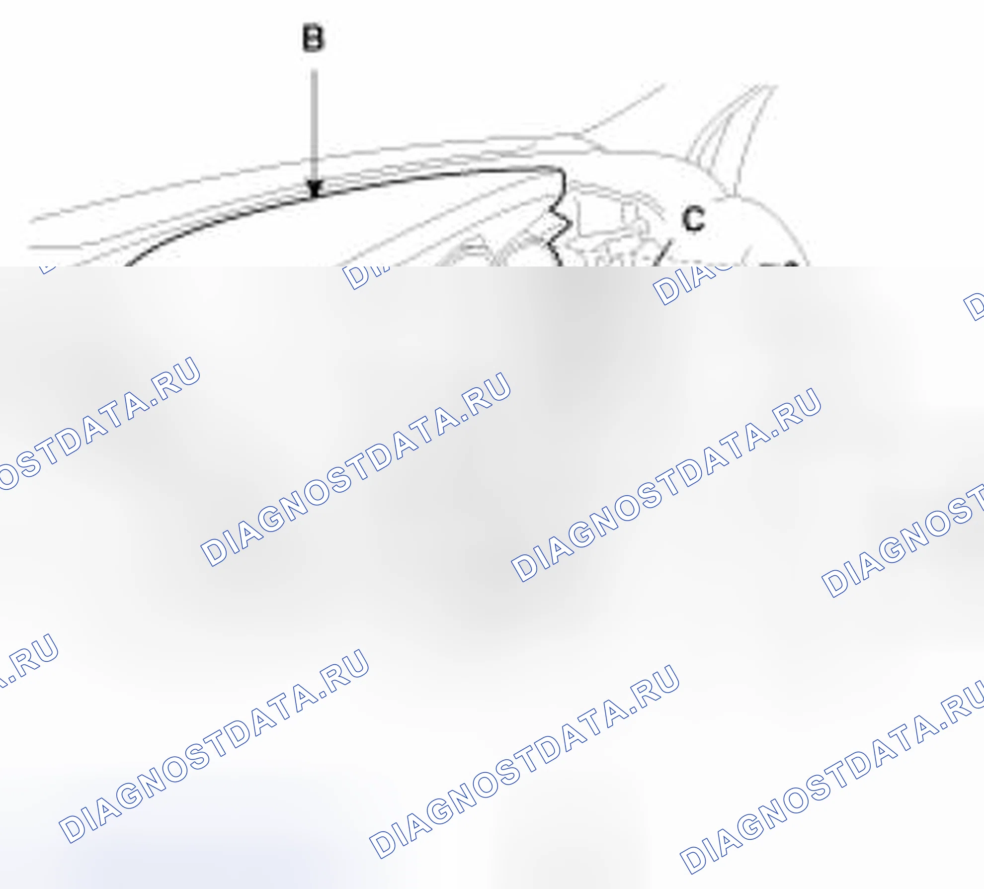 Рис. 103. Kia Forte I
