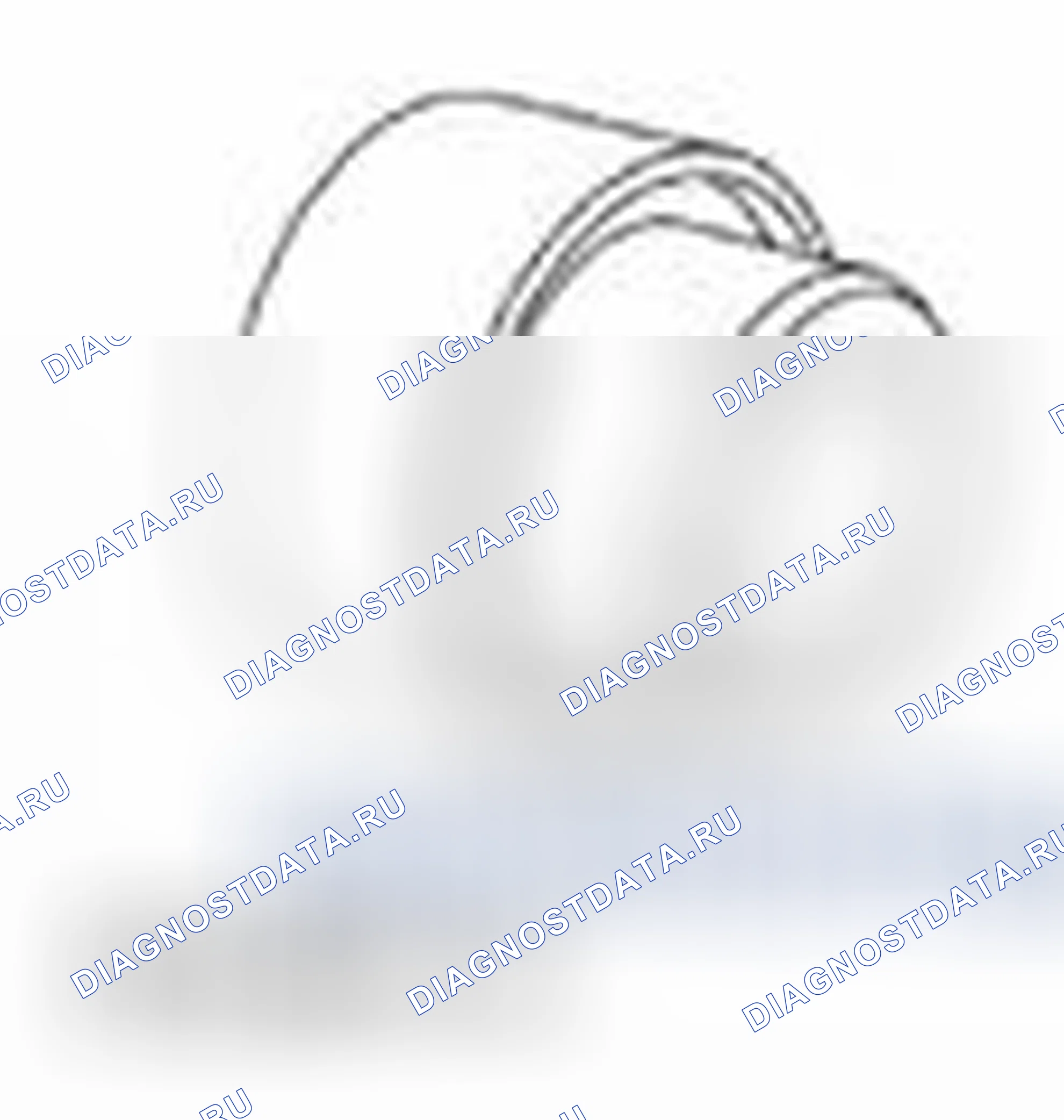Рис. 788. Ford Edge I рестайлинг