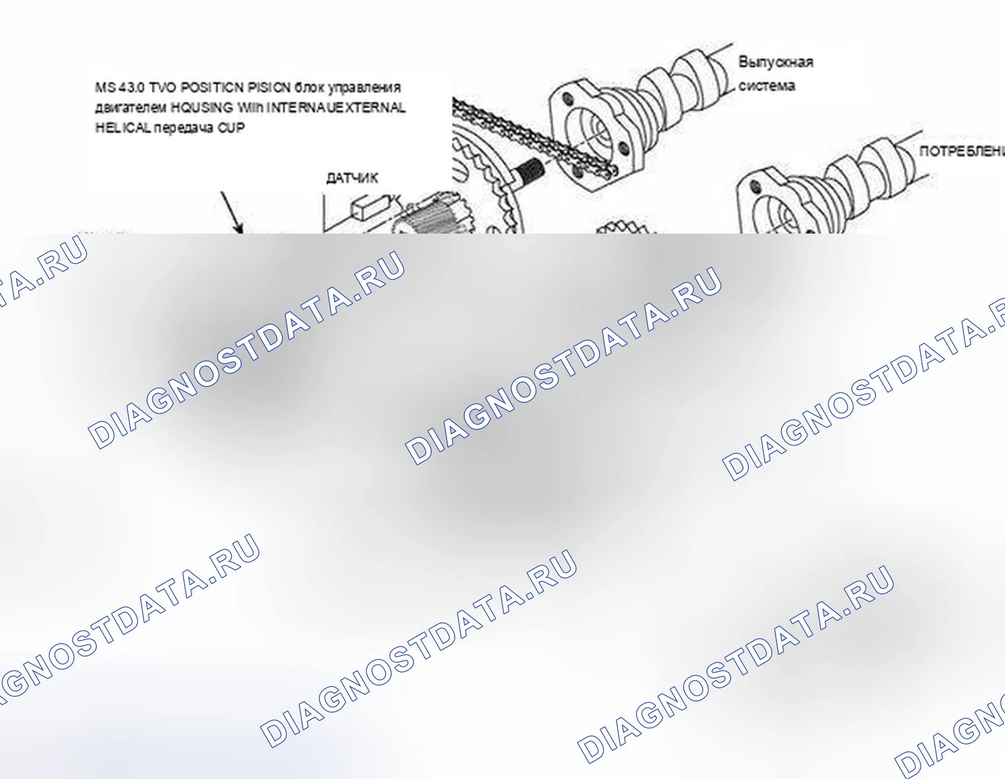 Рис. 542: Схема системы определения распределительного вала Vanos. BMW X5 E53