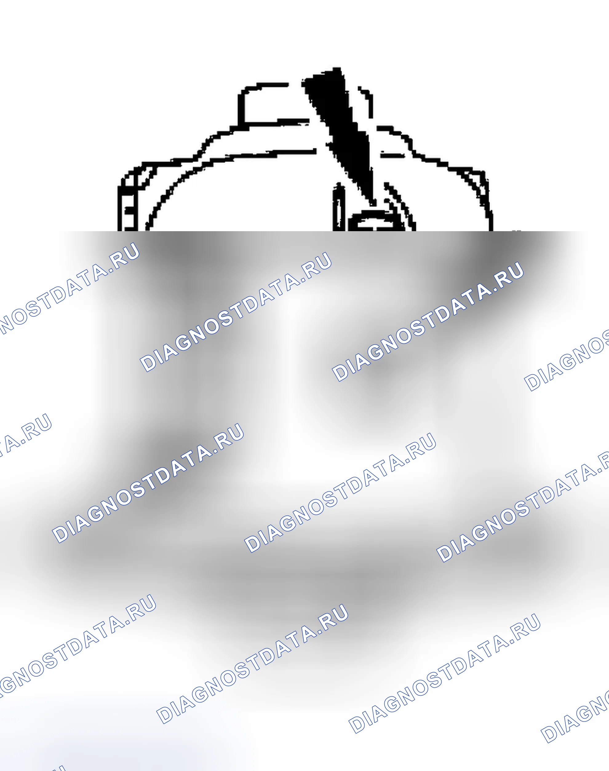 Рис. 167. Ford Ranger I