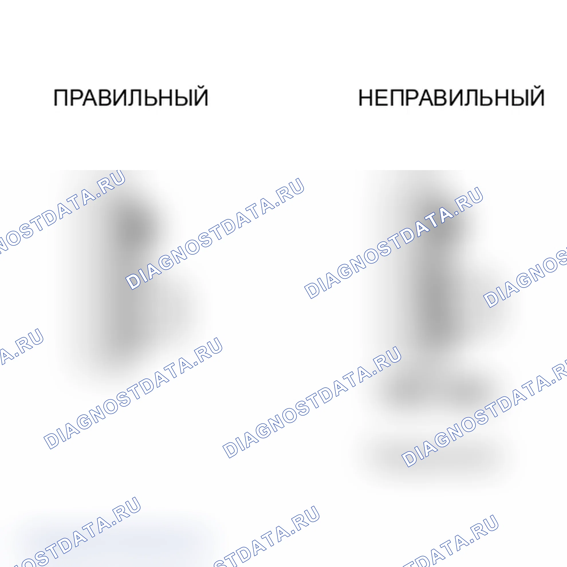 Рис. 446: ПОРЯДОК ВЫПОЛНЕНИЯ РАБОТ. Toyota Land Cruiser 200 рестайлинг