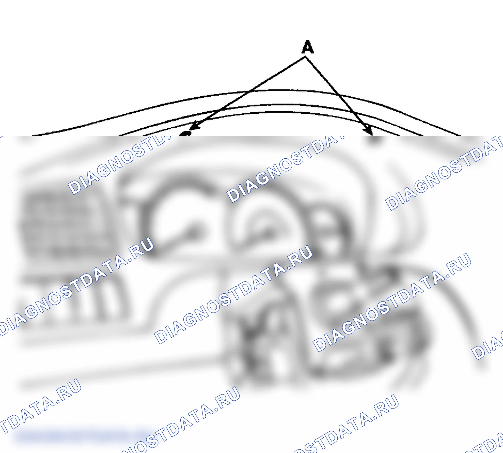 Рис. 6: ДЕМОНТАЖ. Hyundai Elantra III рестайлинг