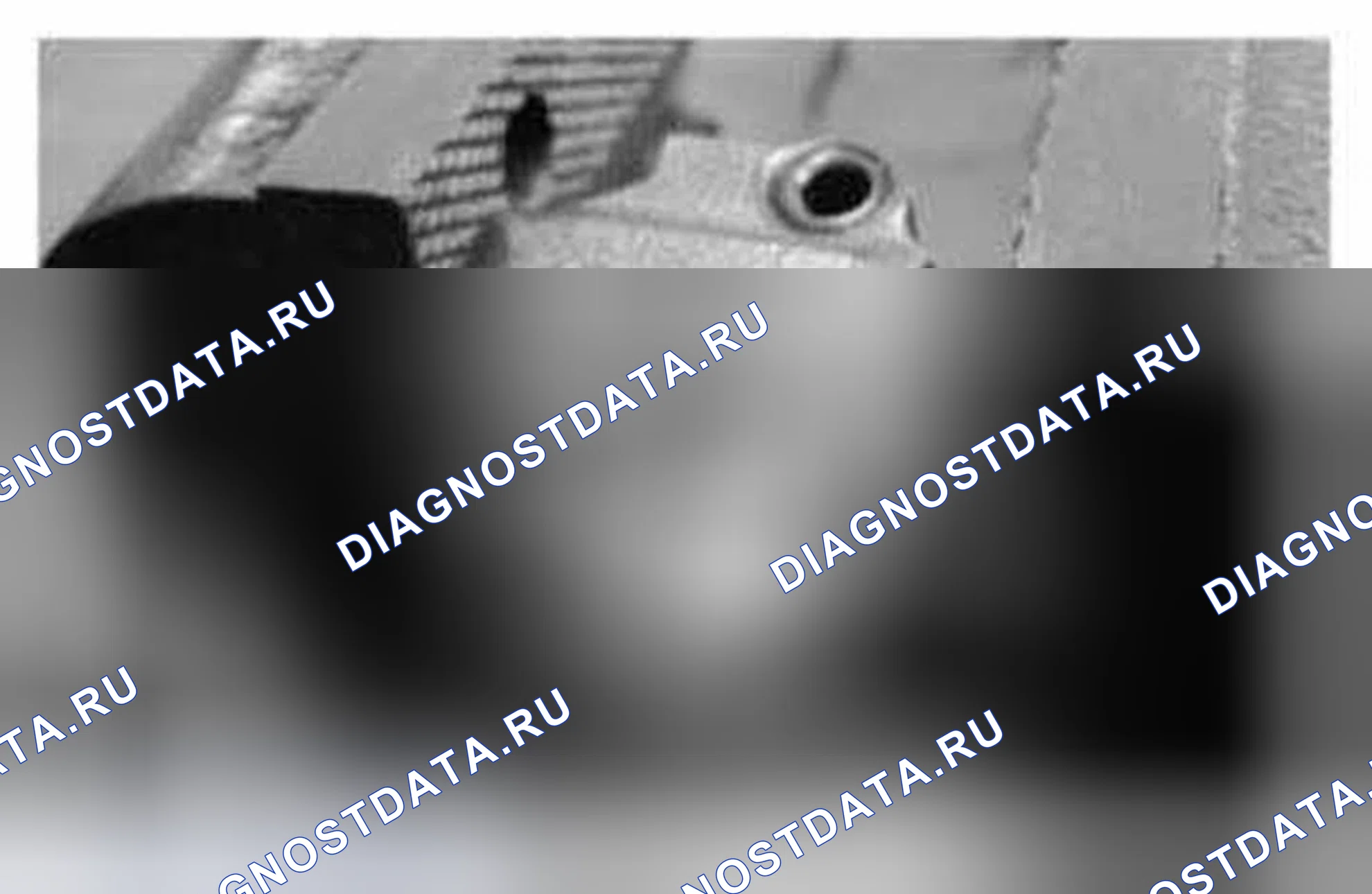 Рис. 1138. Ford Mustang V рестайлинг