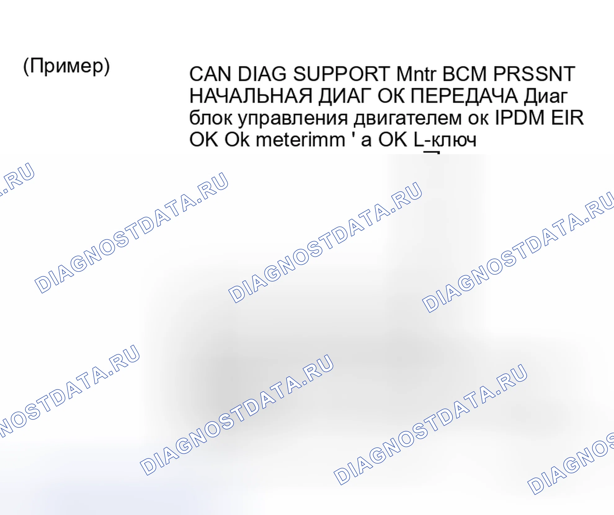 Рис. 22: ОПИСАНИЕ ЭКРАНА " CAN DIAG SUPPORT Mntr " ДЛЯ BCM. Honda N-WGN I