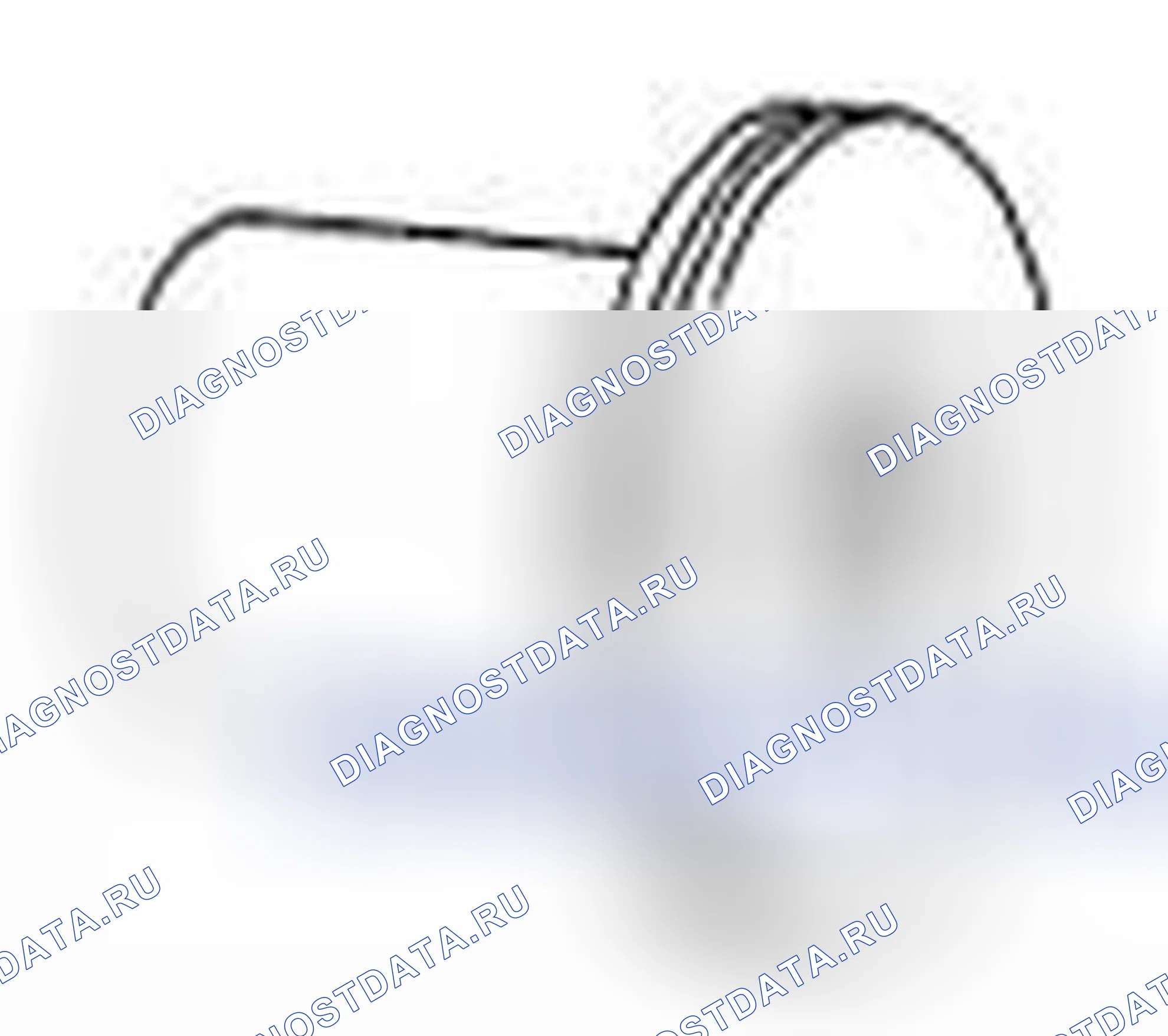 Рис. 362. Mazda MX-5 NC рестайлинг