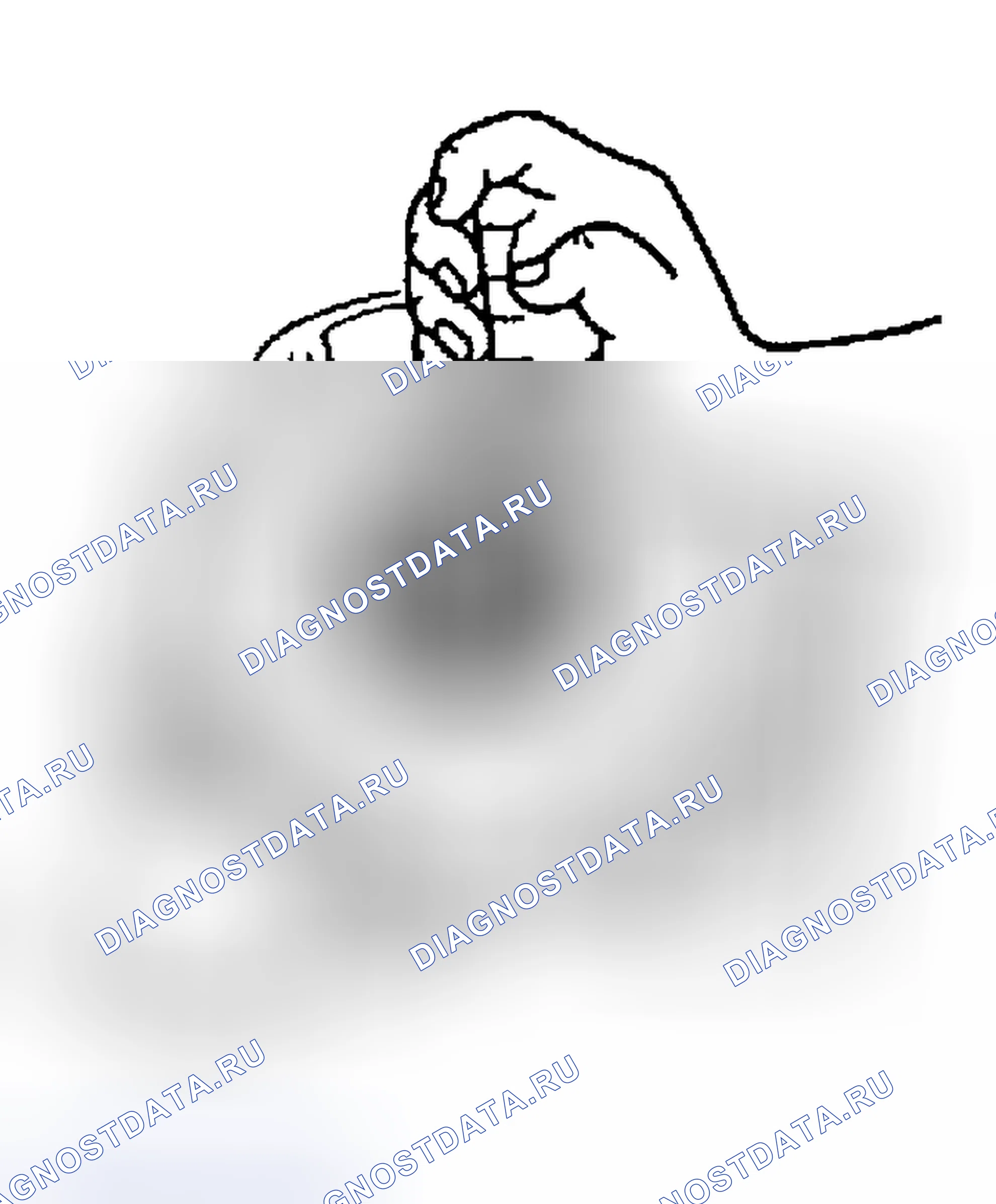 Рис. 247. Geely Preface I