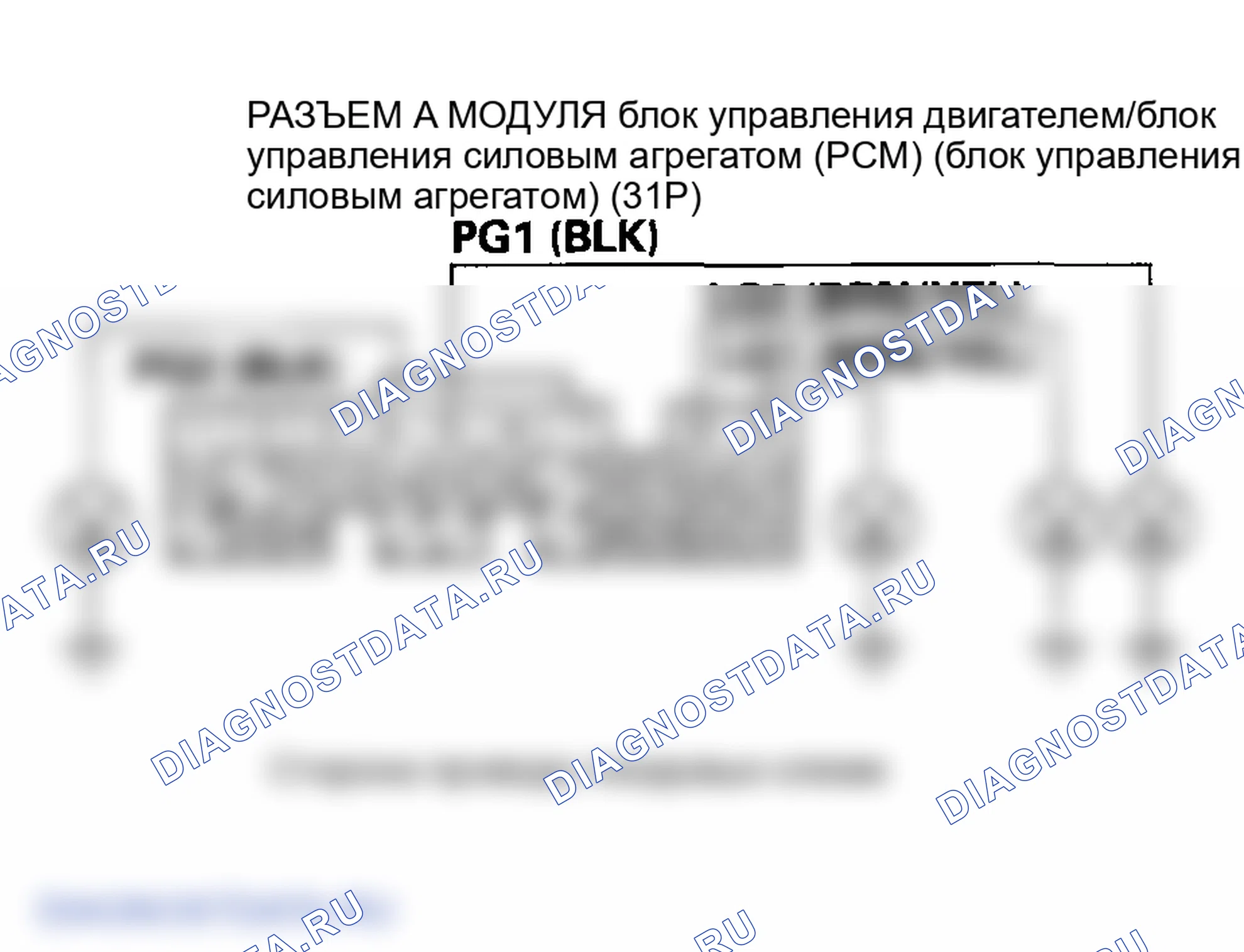 Рис. 29. Honda Element YH2