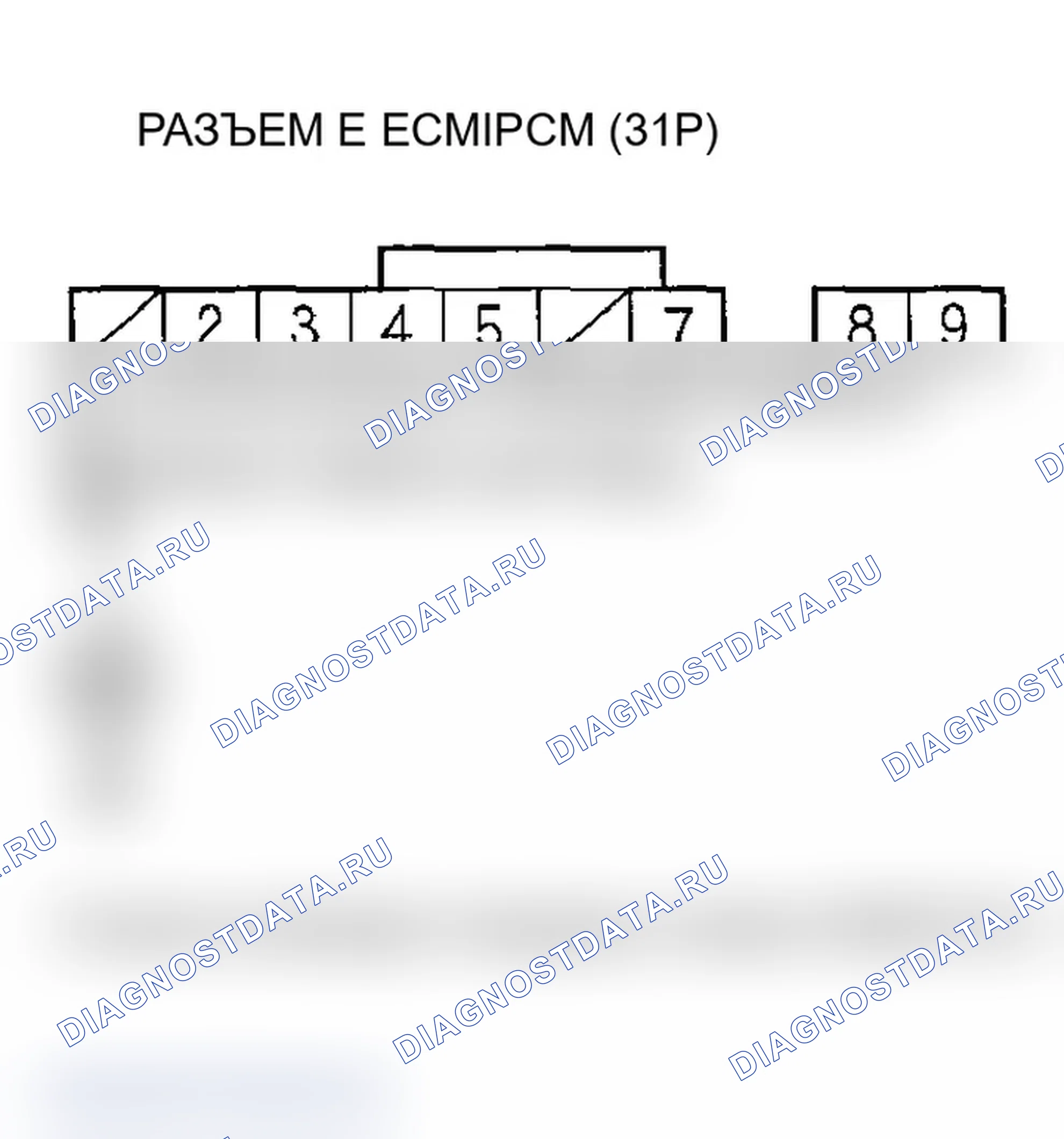 Рис. 412: Модели 2005-2006. Acura RSX I рестайлинг