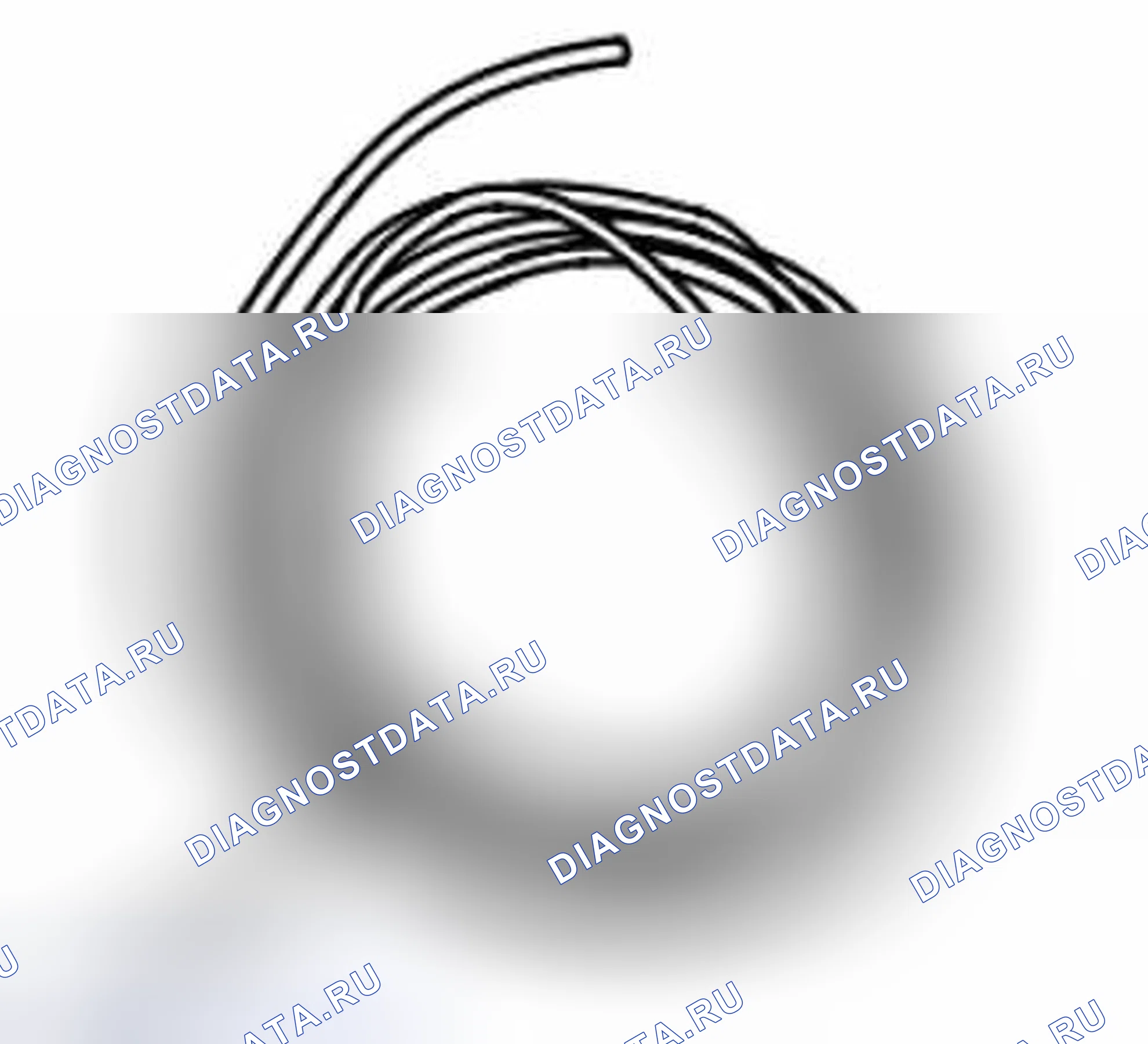 Рис. 320: 82 92 831 Проволока, снятие окна, L = 30 м. Kia Picanto III