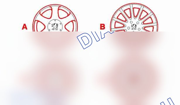 Идентификация - характеристики: колеса и шины — b2gk018d. Peugeot 607 I