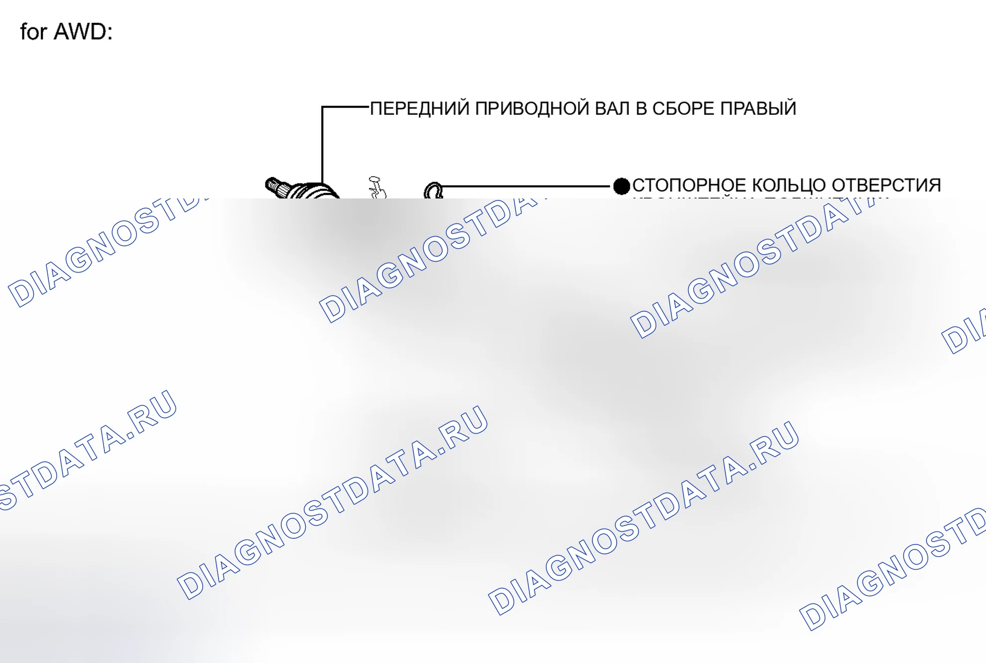 Рис. 3: ИЛЛЮСТРАЦИЯ. Toyota Venza I рестайлинг
