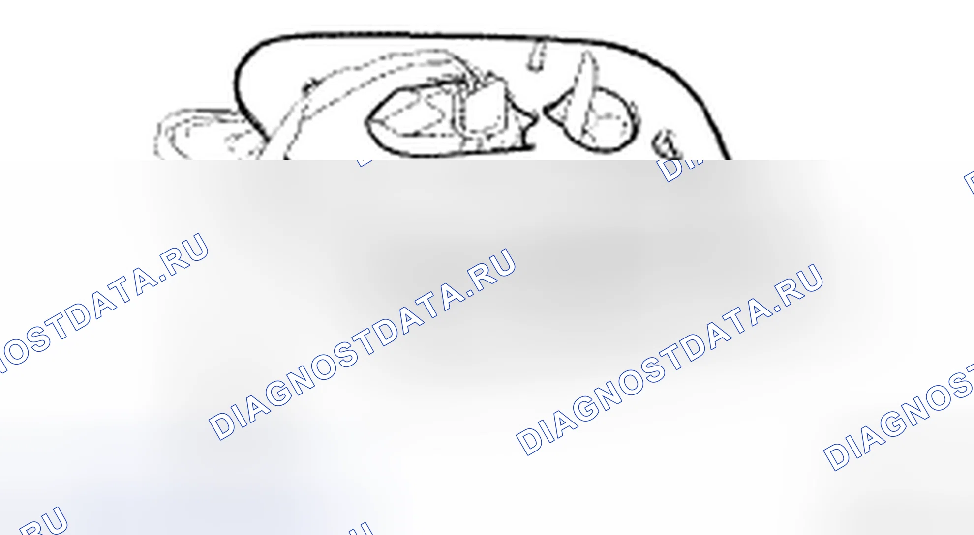 Рис. 298. Toyota Camry XV40