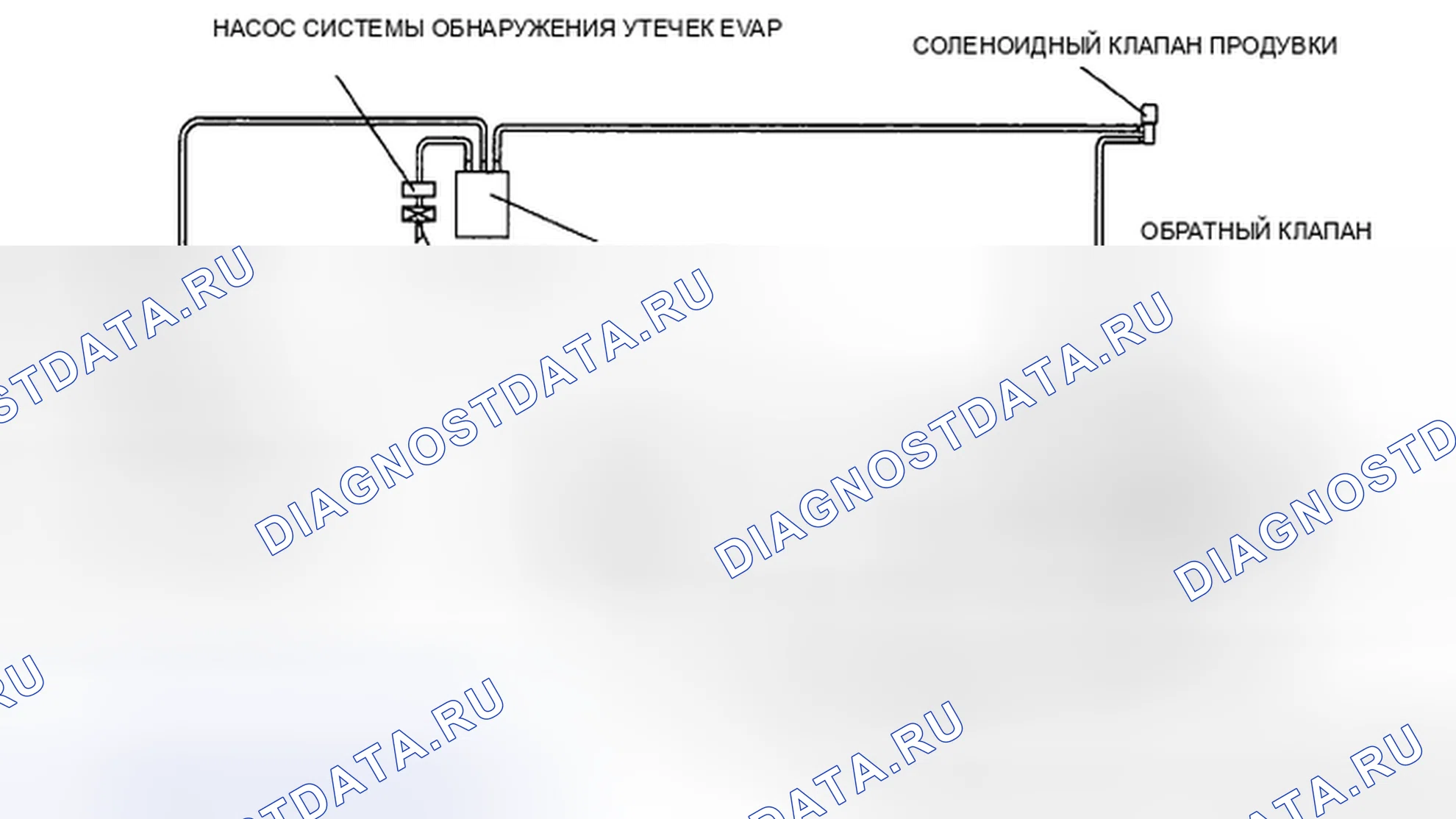 Рис. 4: СХЕМА СИСТЕМЫ ОГРАНИЧЕНИЯ ВЫБРОСОВ В РЕЗУЛЬТАТЕ ИСПАРЕНИЯ (EVAP) [L3 с Tc]. Mazda CX-7 I