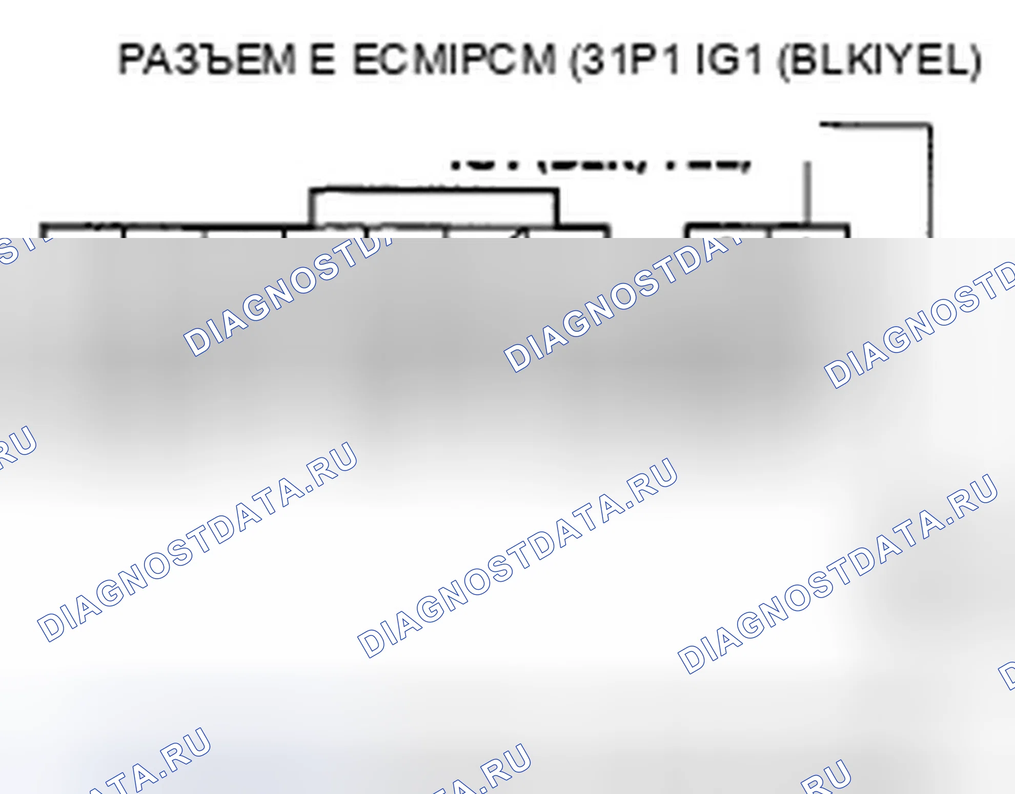 Рис. 449. Honda Element YH2 рестайлинг