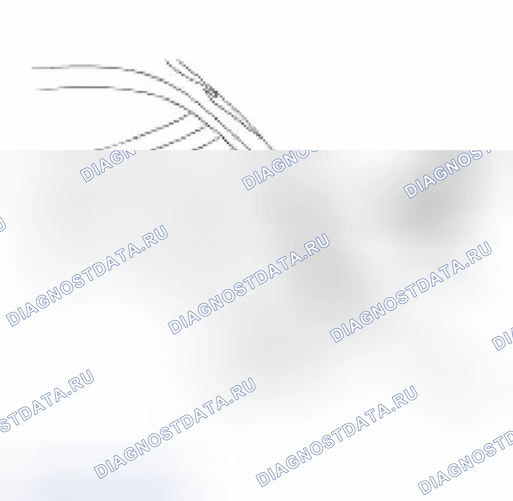 Рис. 130. Jaguar XKR I