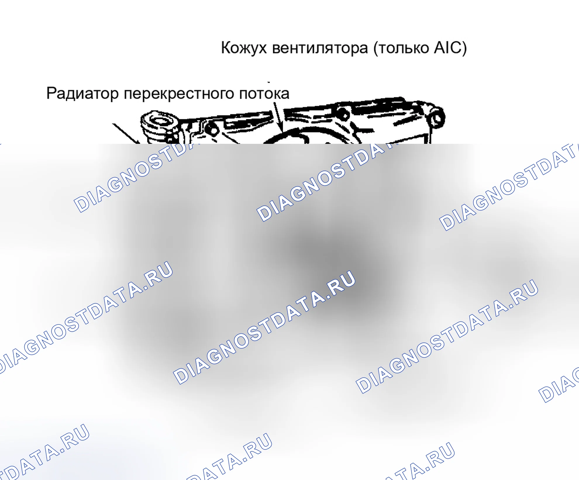 Рис. 2: Типичный электровентилятор с термостатическим управлением. Honda Accord III