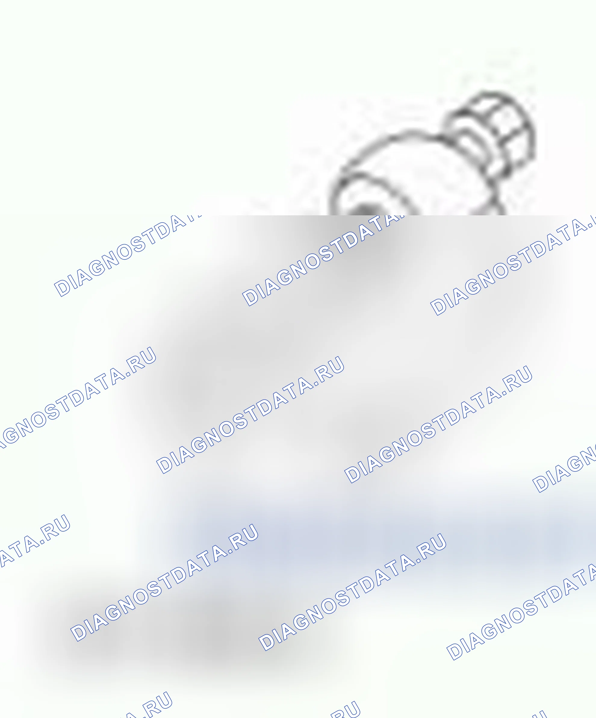 Рис. 4. Ford Fiesta Mk6