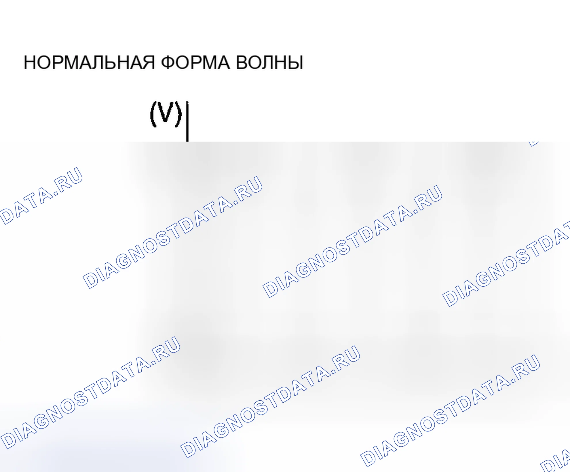 Рис. 1608. Mazda MX-5 NA