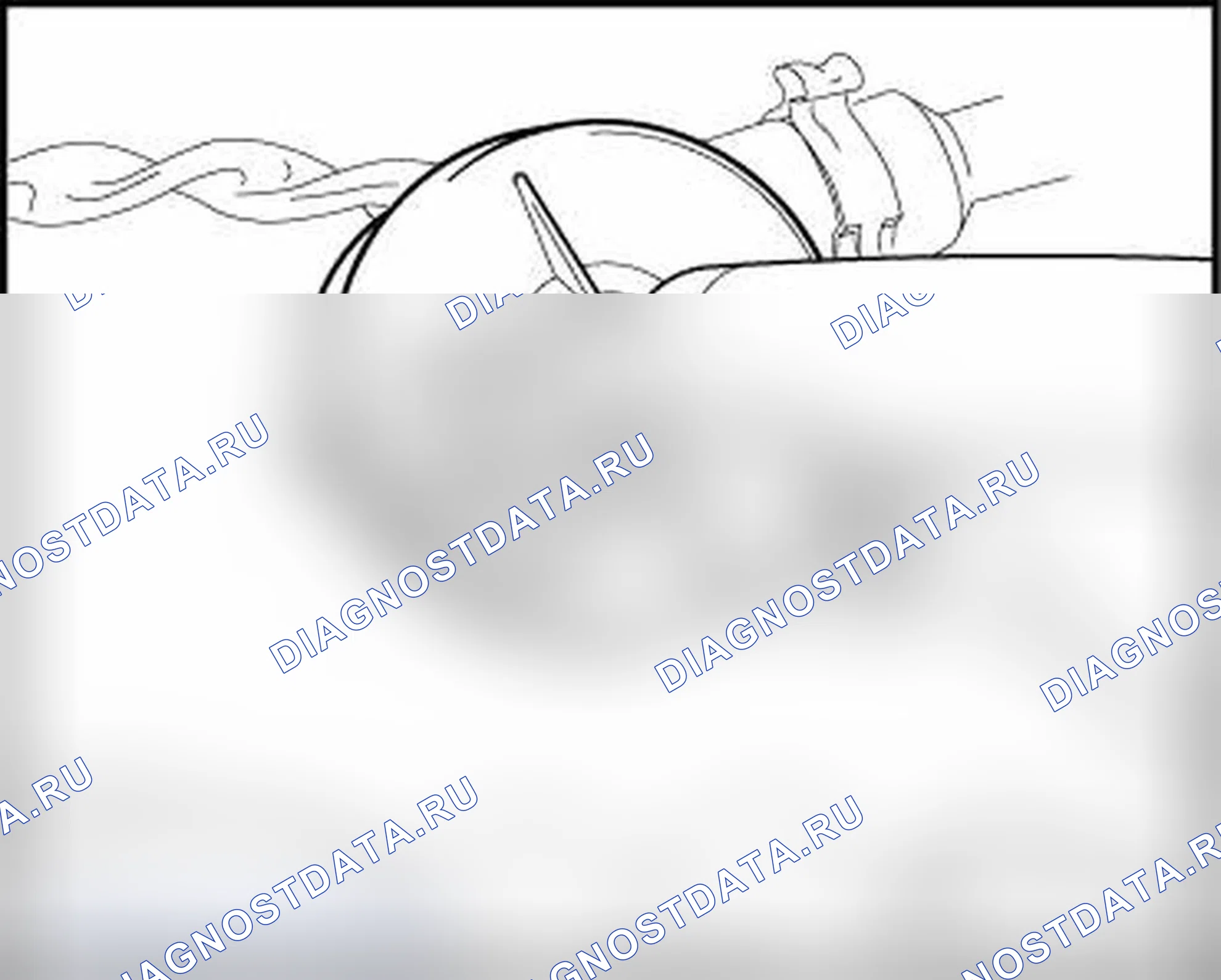 Рис. 104. Volkswagen New Beetle A4