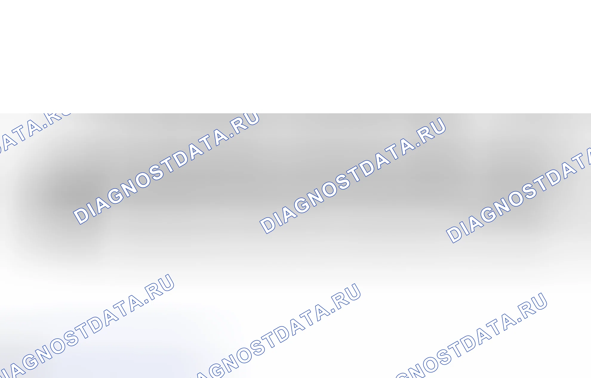 Рис. 161. Haval Raptor I