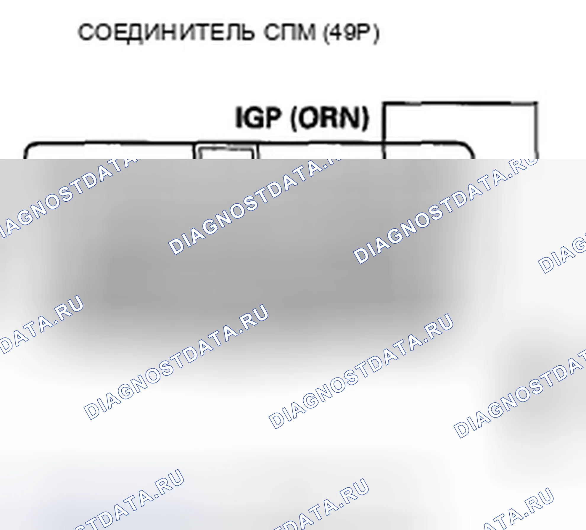 Рис. 886. Honda Crosstour I