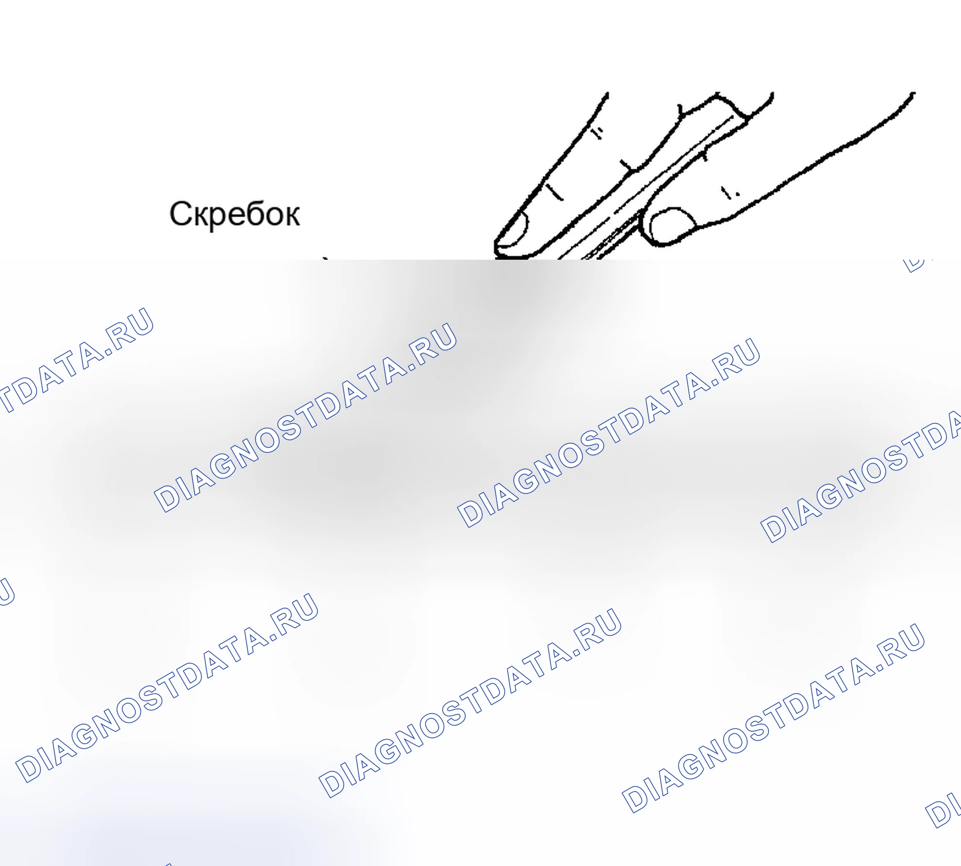 Рис. 41: ПРОЦЕДУРА УСТАНОВКИ ЖИДКОСТНОЙ ПРОКЛАДКИ. Nissan Sentra B15