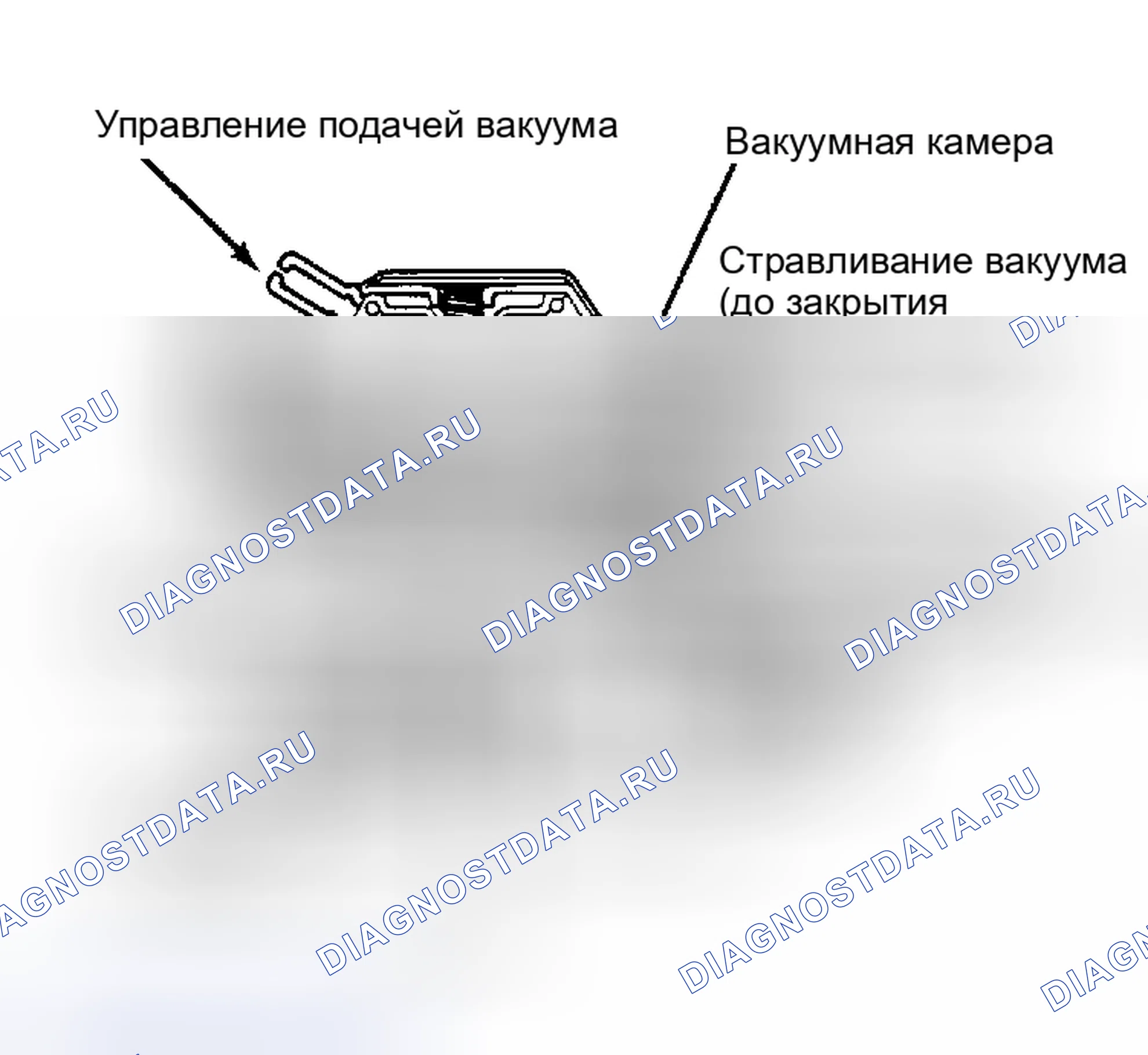Рис. 19: Клапан рециркуляция отработавших газов внешнего преобразователя и встроенный клапан рециркуляция отработавших газов датчика противодавления (IBP). Mazda Familia BF