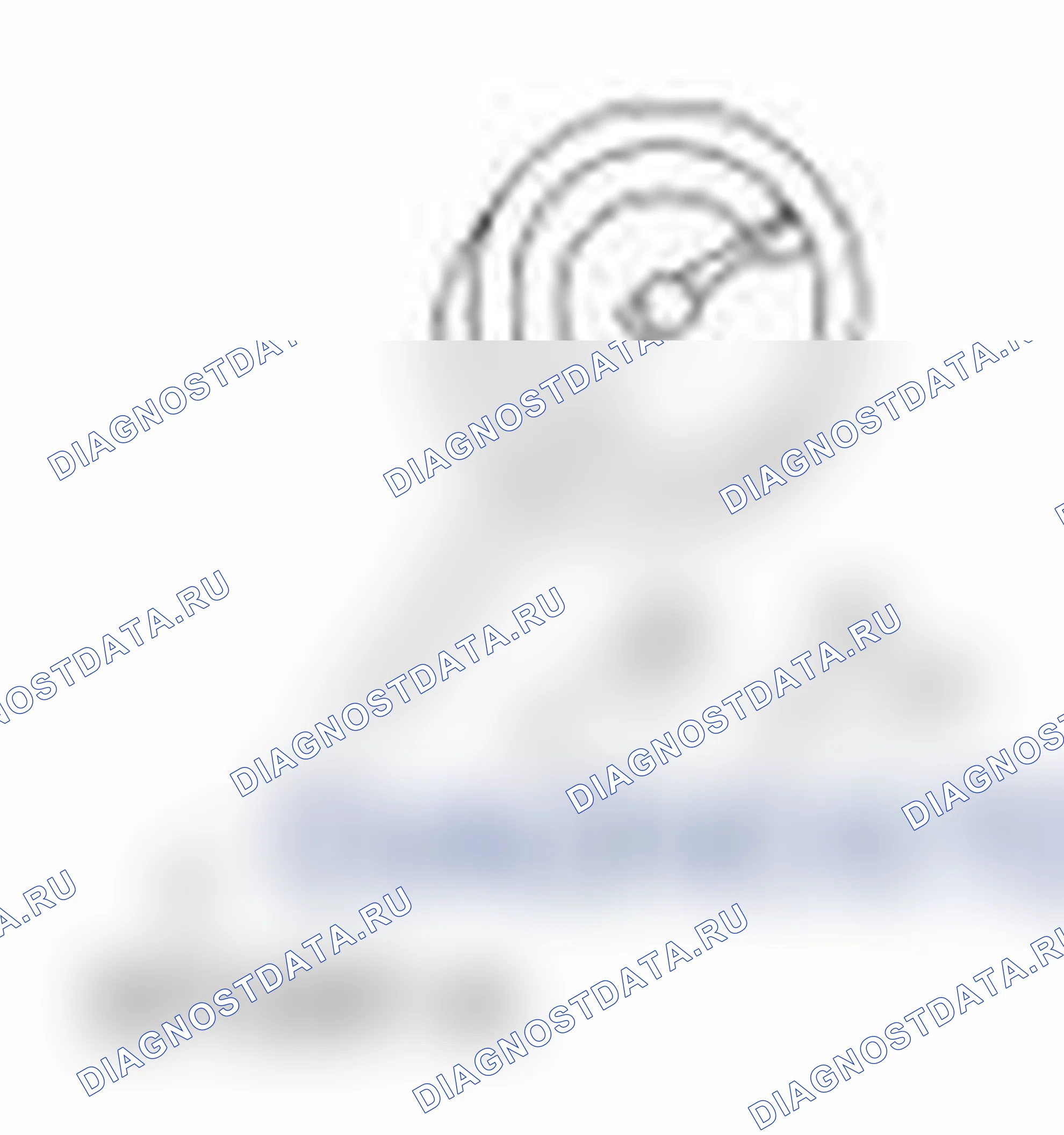 Рис. 419. Ford Transit Connect I рестайлинг