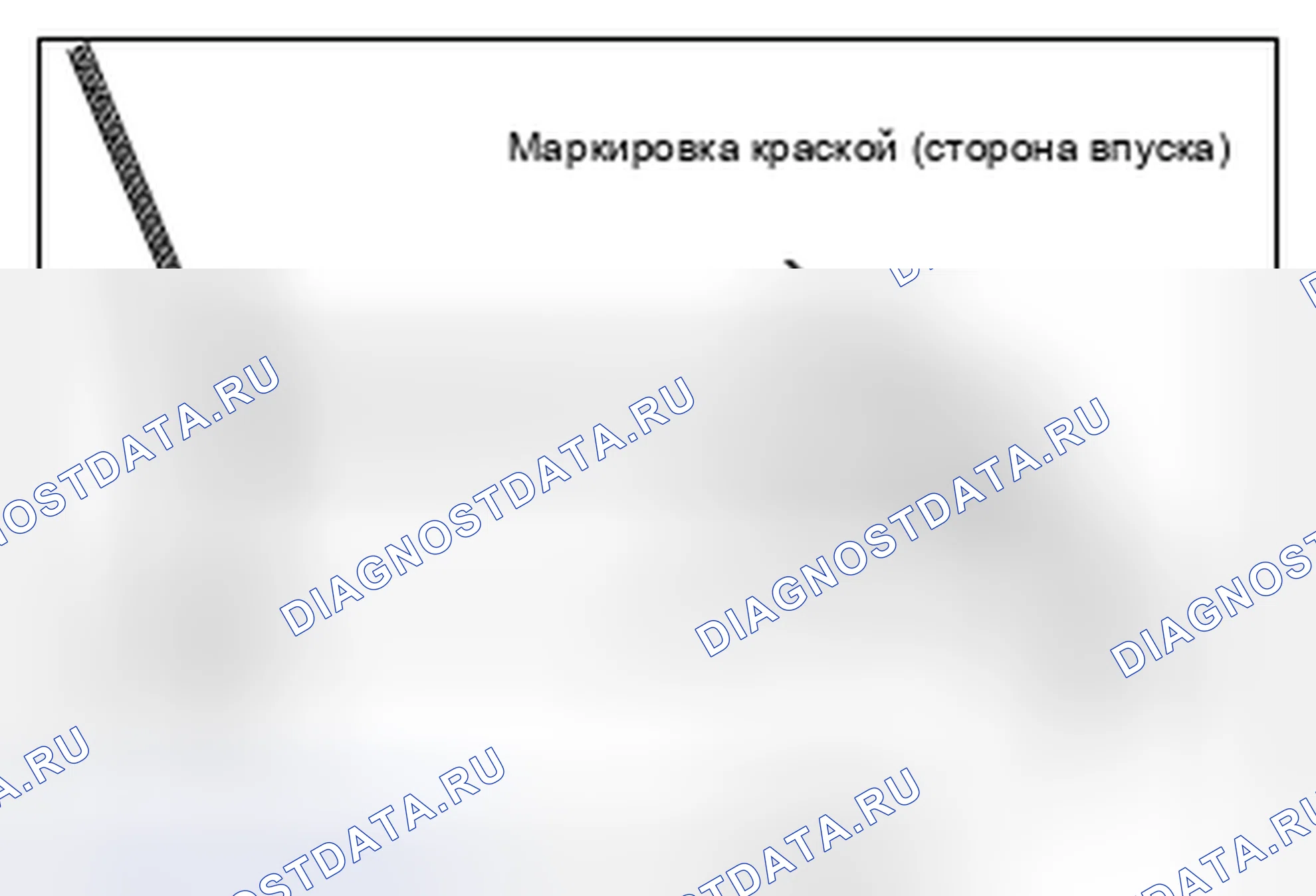 Рис. 245: > > C < < УСТАНОВКА ЗВЕЗДОЧКИ РАСПРЕДЕЛИТЕЛЬНОГО ВАЛА И ЕГО УЗЛА (СТОРОНА ВПУСКА). Mazda MX-5 NB