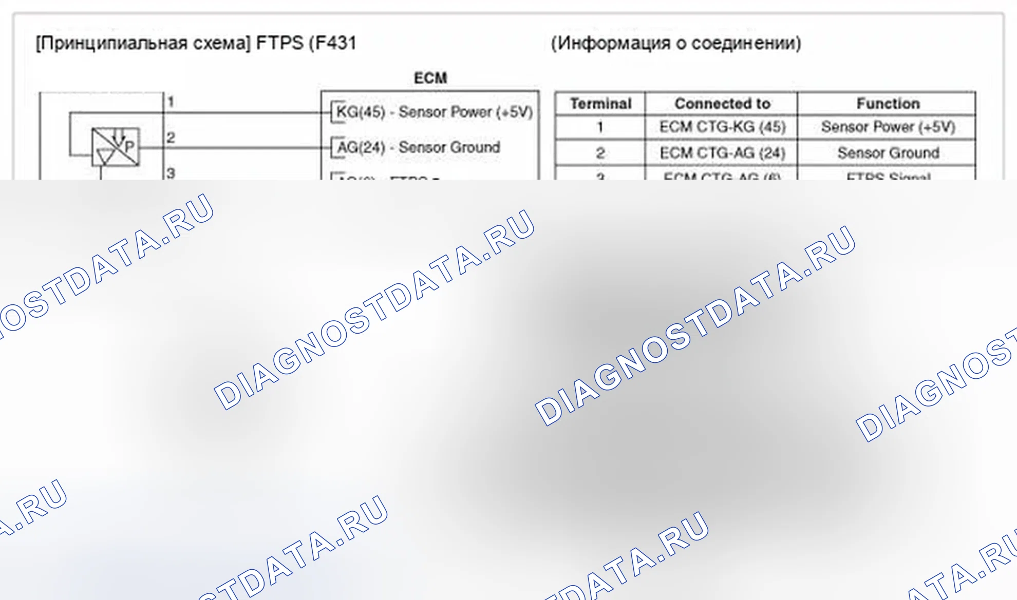 Рис. 343: Принципиальная схема. Hyundai Genesis I рестайлинг