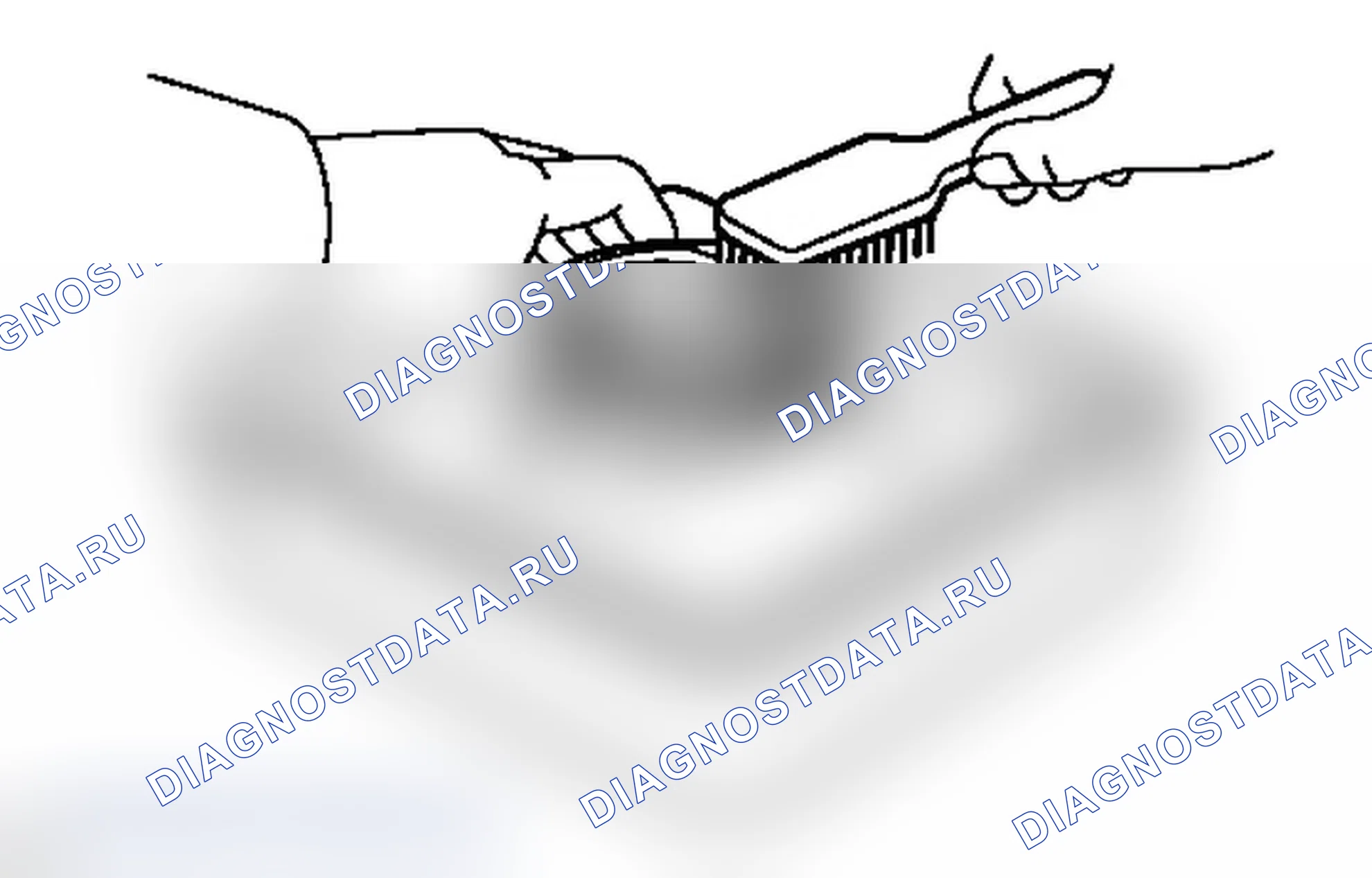 Рис. 395. Lexus IS F I